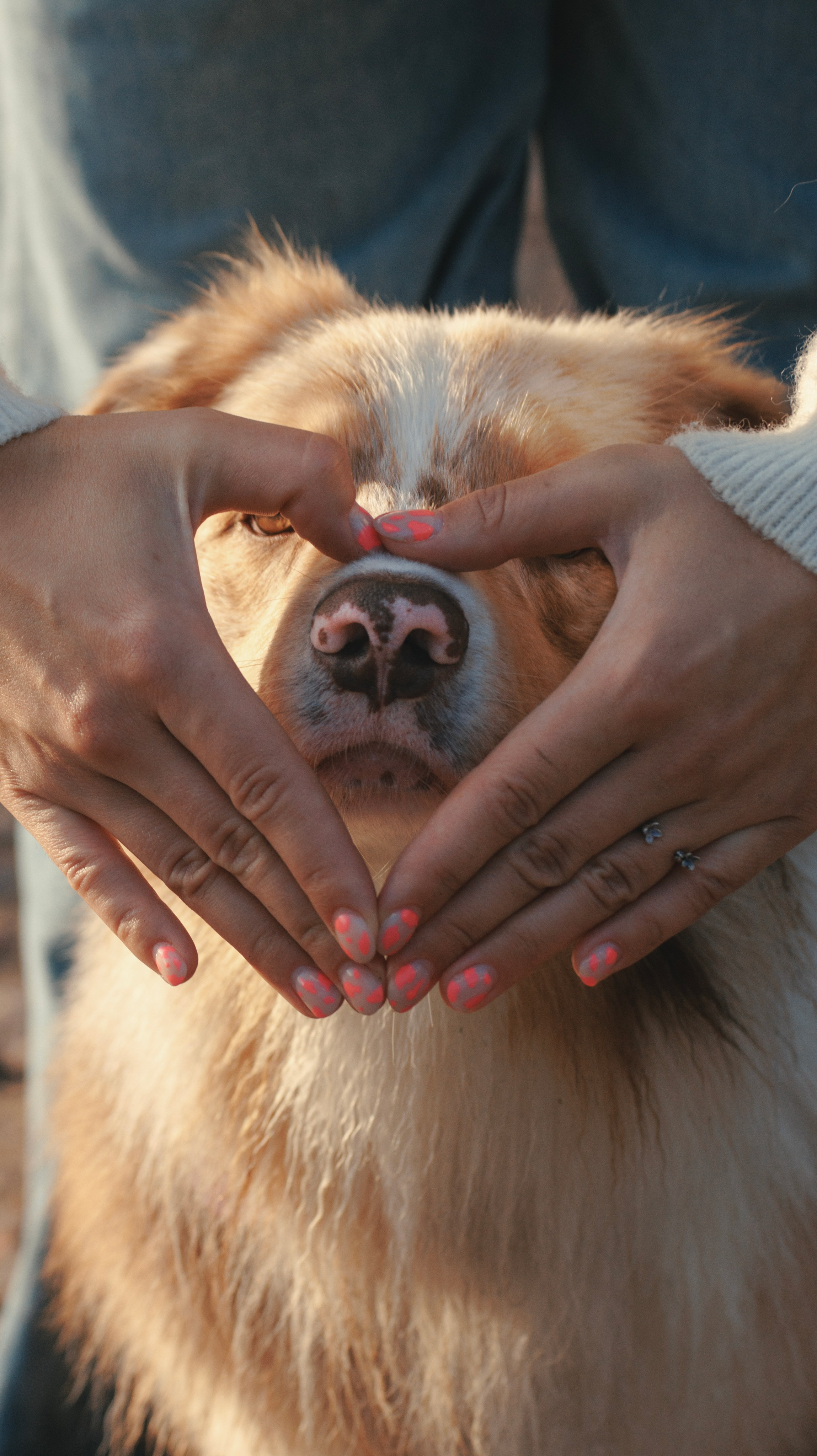 Летний рассвет с Майроном и Ланой. Стас Соболь, фотограф анималист, репортажник, Москва