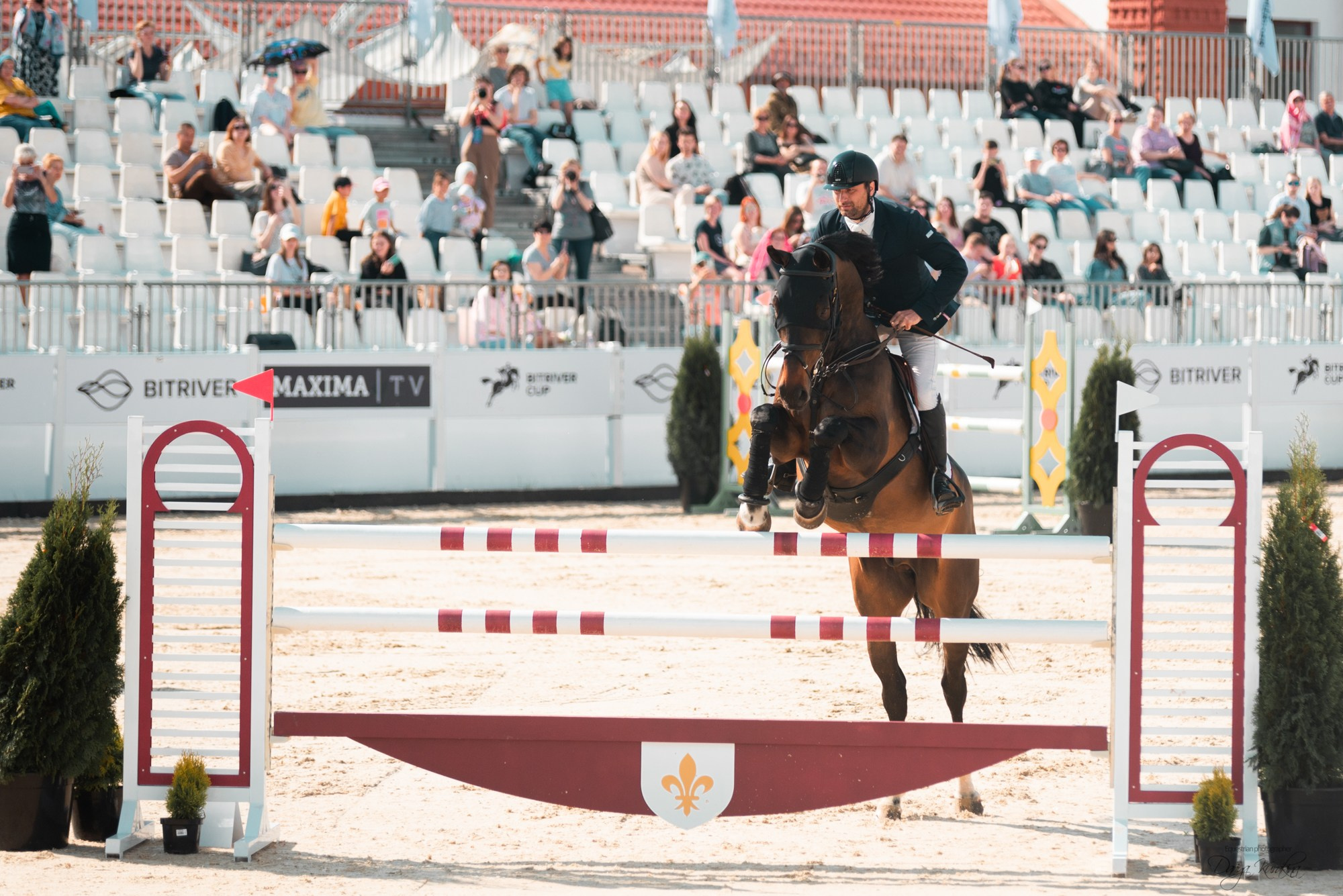 BITRIVER CUP 2023. Конный фотограф Куракина Дарья • Фотосессии с лошадьми