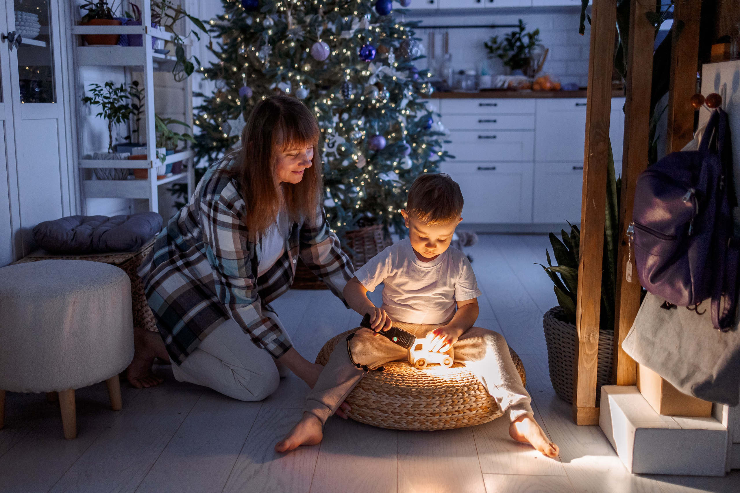 Домашняя новогодняя история