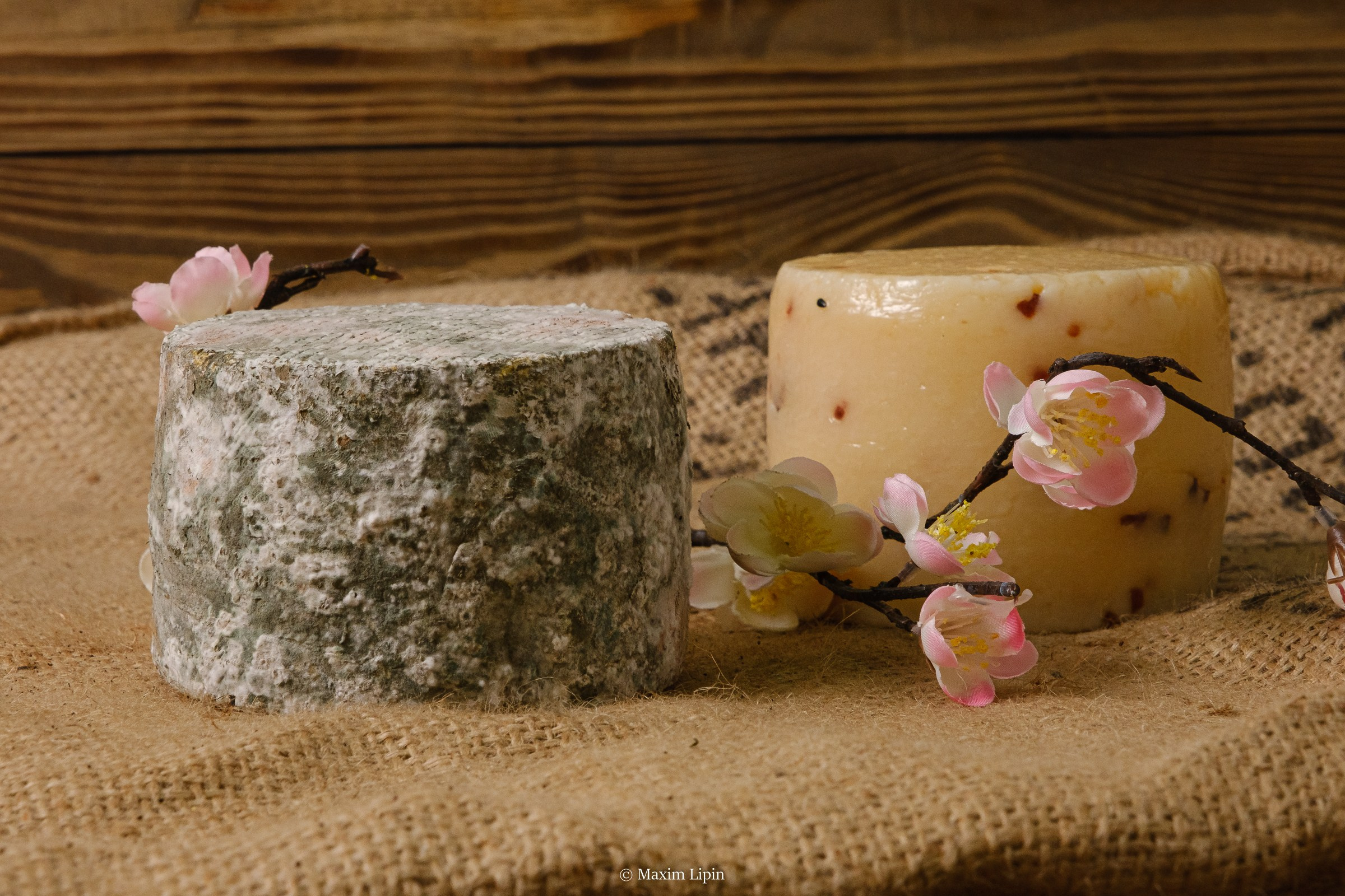 сыр с плесенбю нижнекамск сыроварня