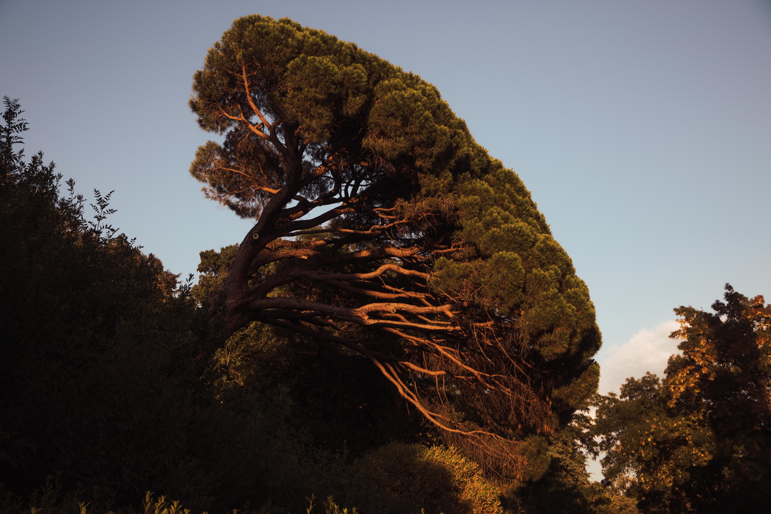 Гуляя по Ялте. Семен Соколов