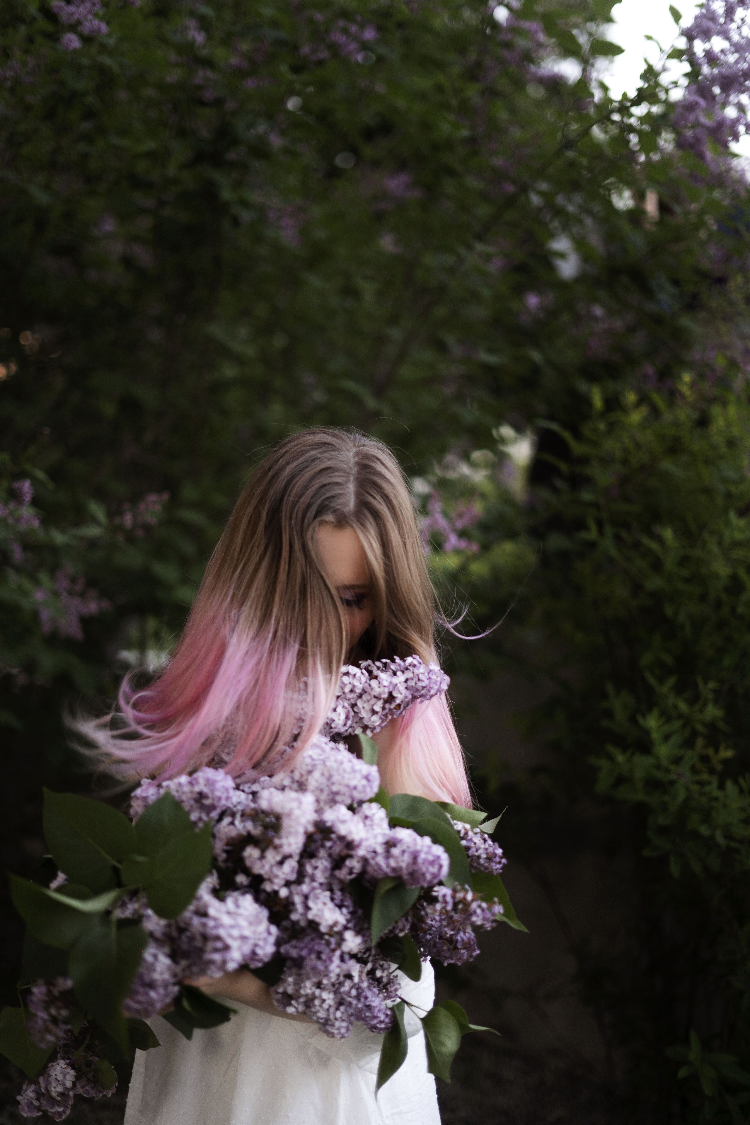 Вероника (букет сирени). Фотограф Вера Зверуго в Орле