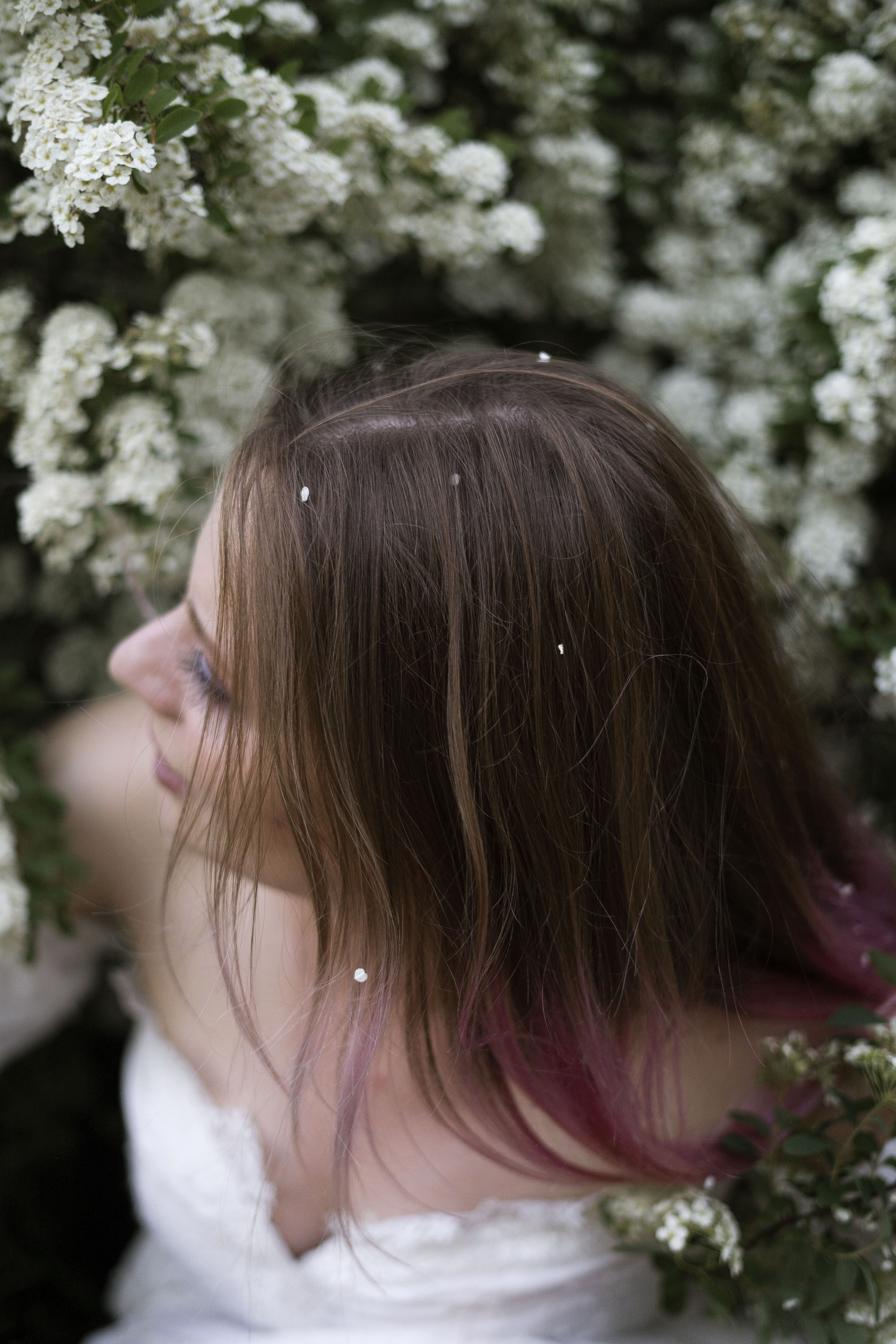 Вероника (букет сирени). Фотограф Вера Зверуго в Орле