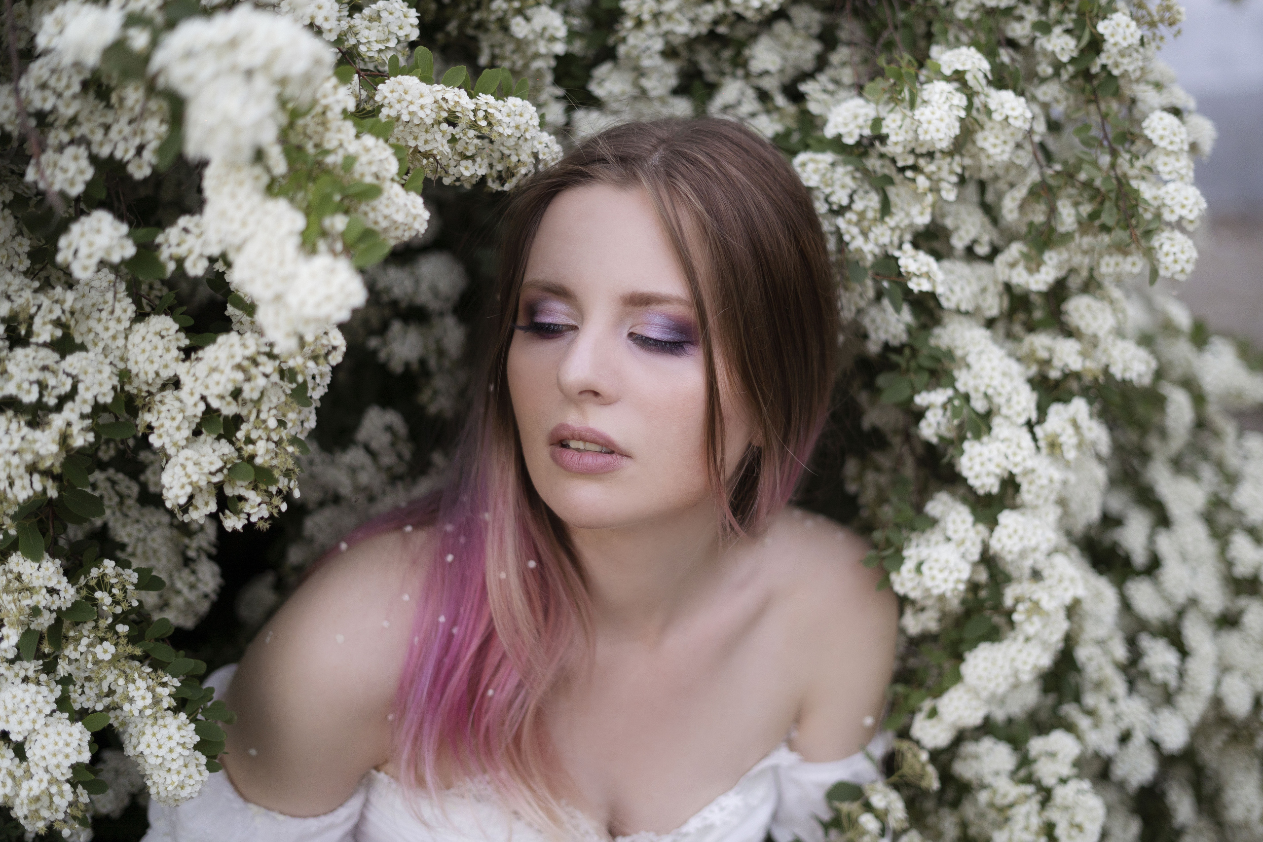 Вероника (букет сирени). Фотограф Вера Зверуго в Орле