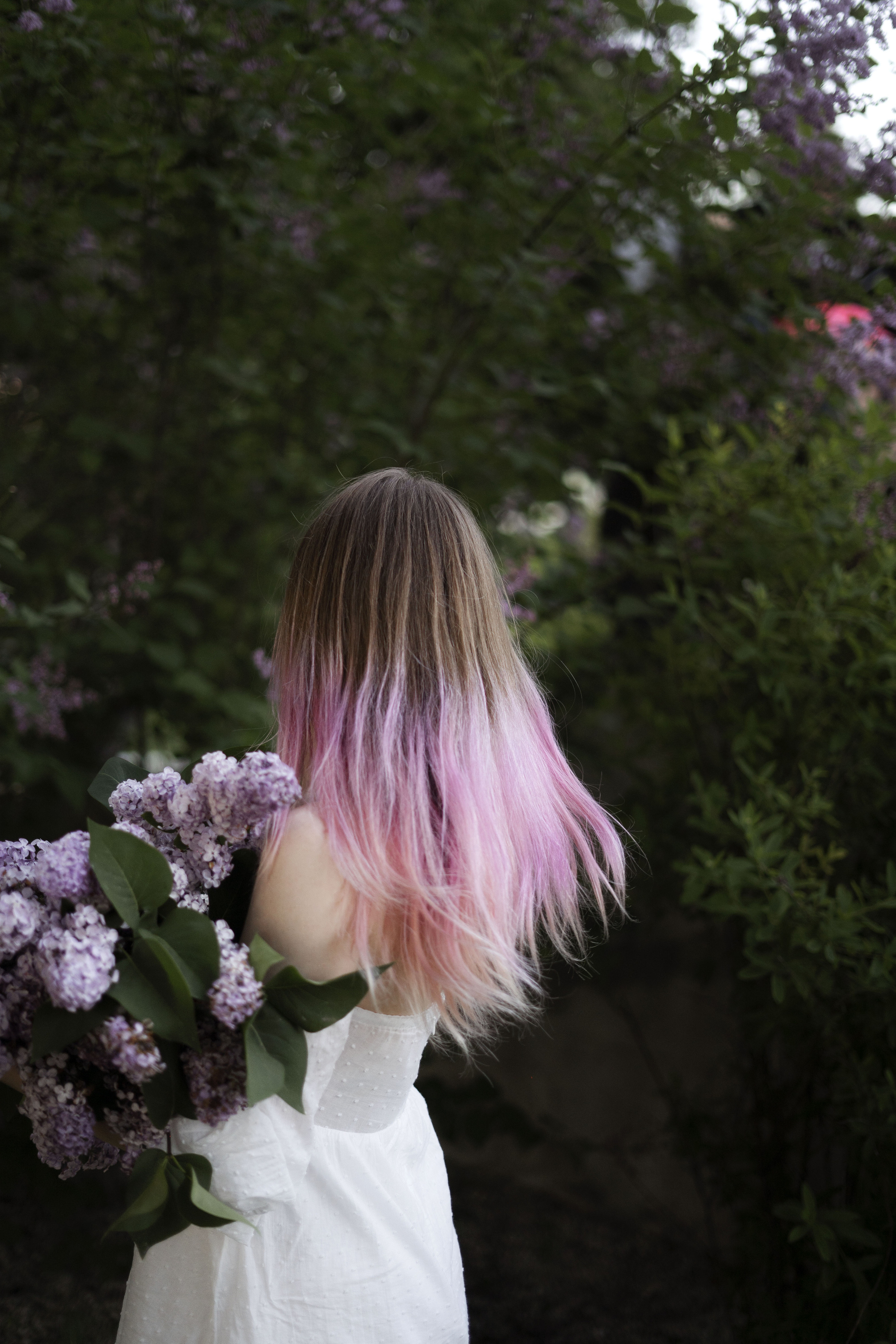 Вероника (букет сирени). Фотограф Вера Зверуго в Орле