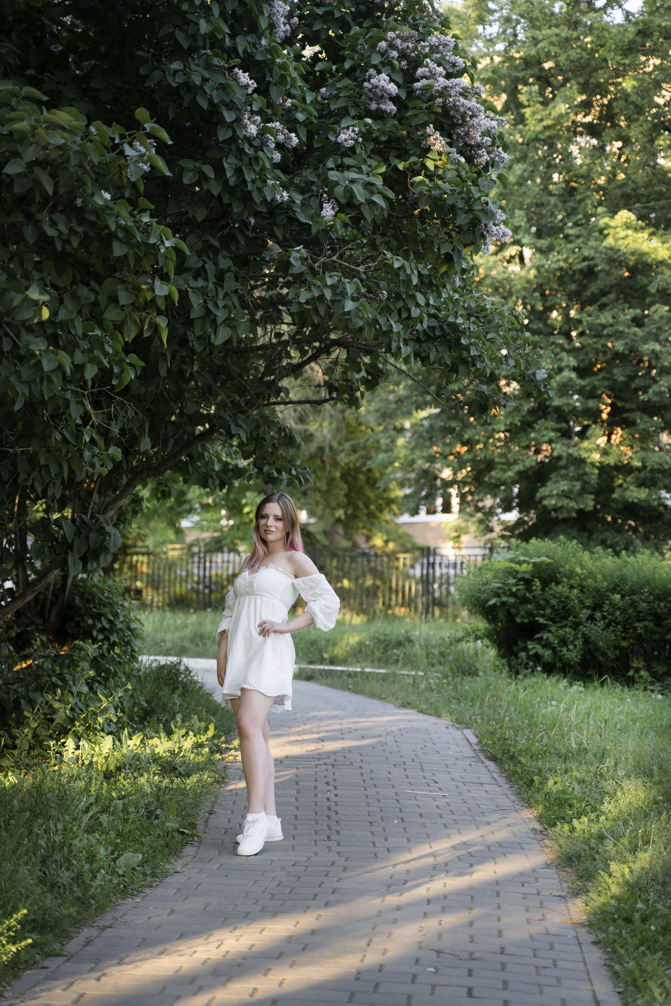 Вероника (букет сирени). Фотограф Вера Зверуго в Орле