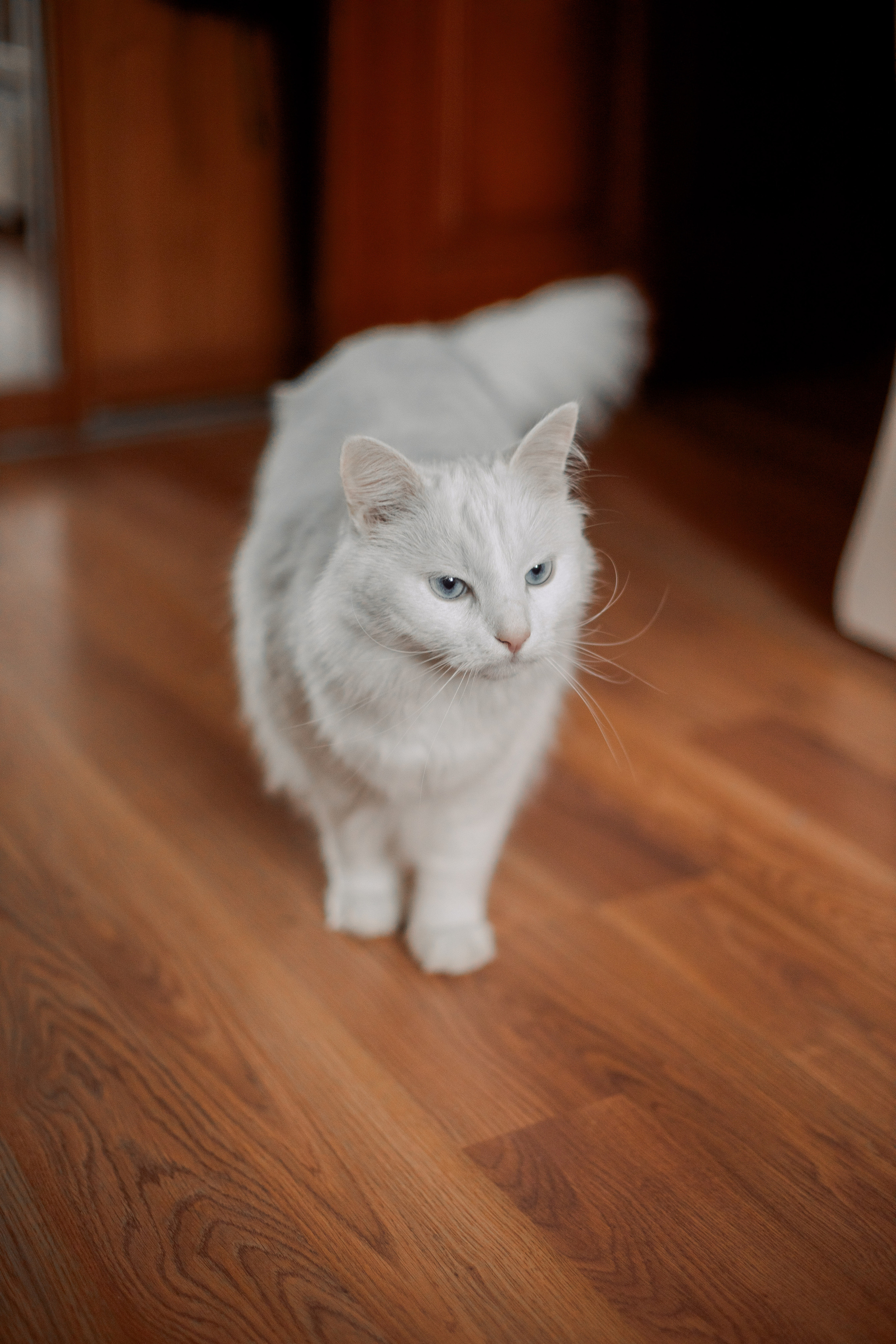 Про нового человека. Семейный и детский фотограф в Туле