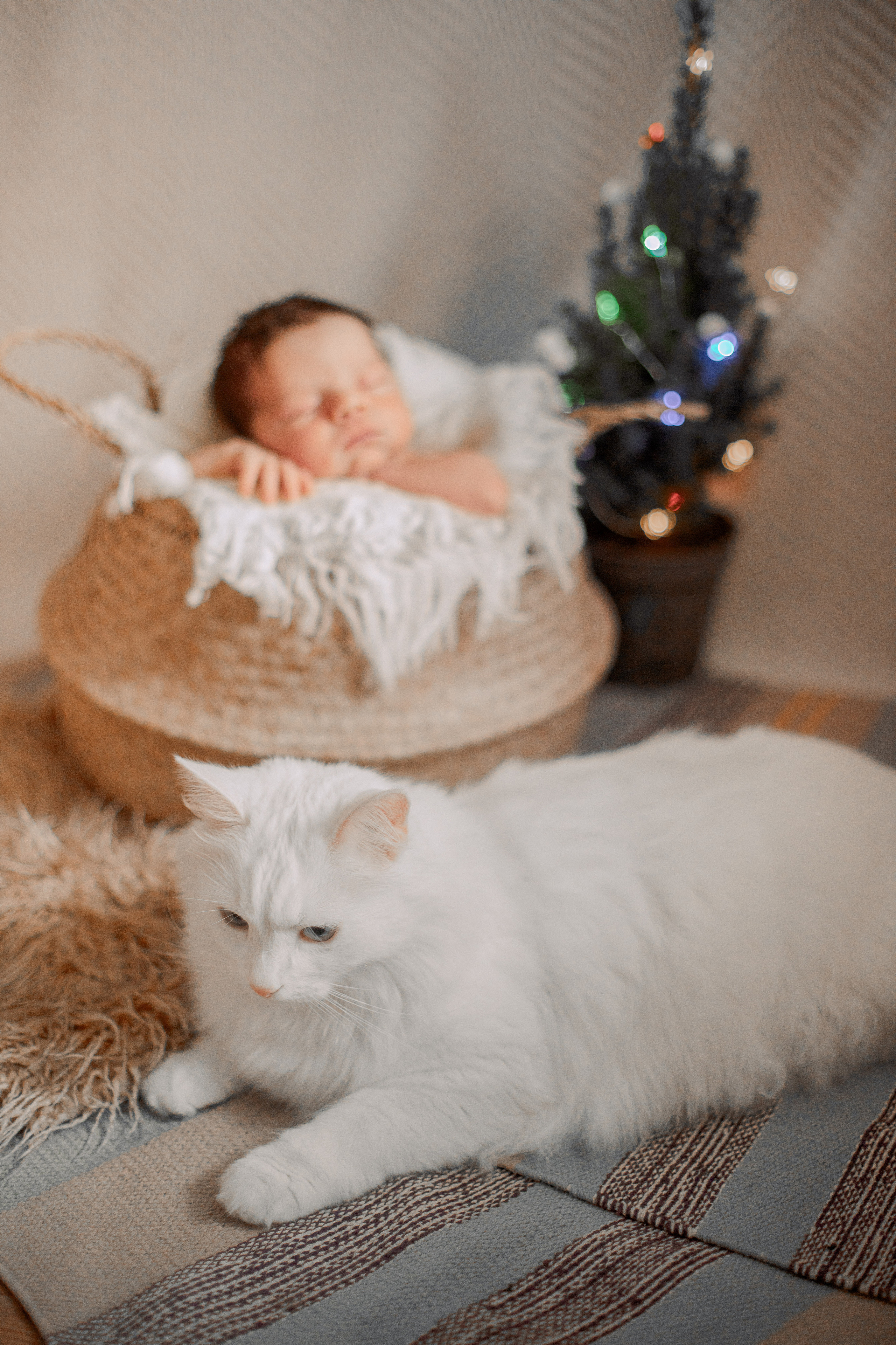 Про нового человека. Семейный и детский фотограф в Туле