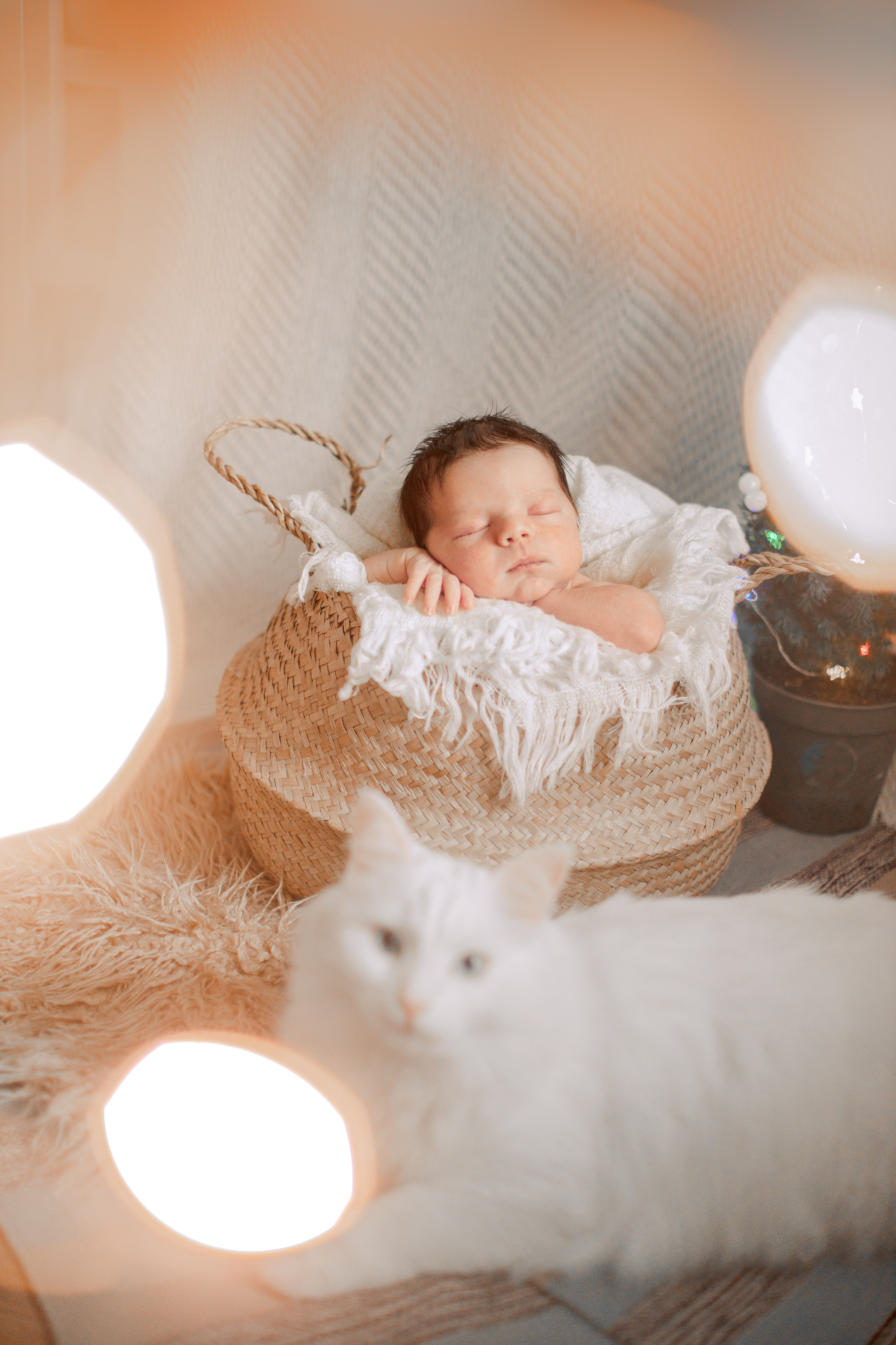 Про нового человека. Семейный и детский фотограф в Туле