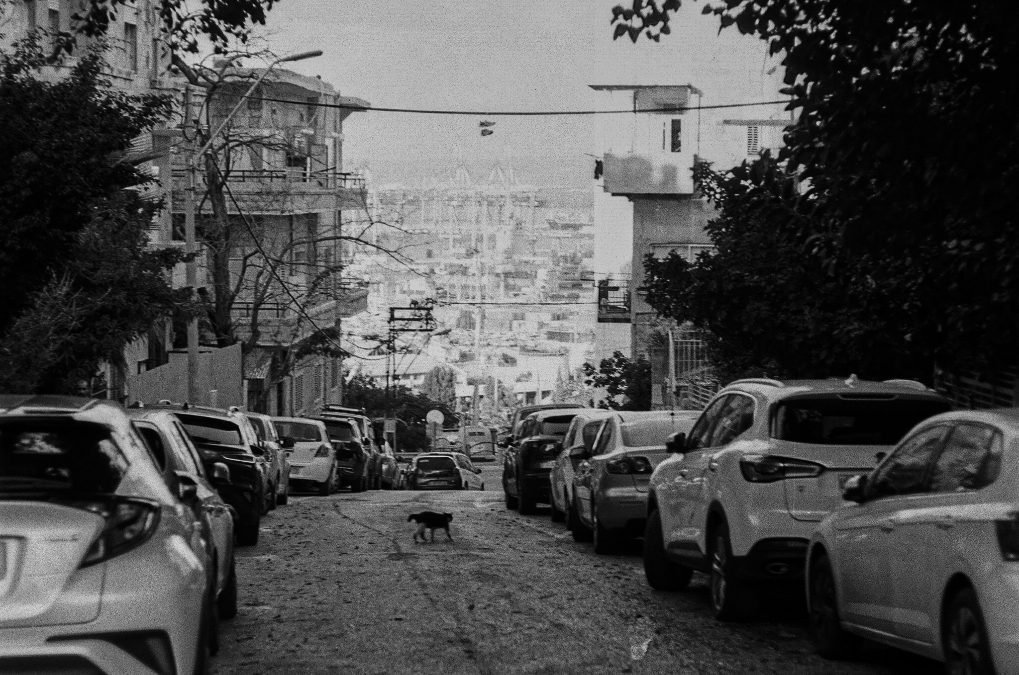 Israel 2025. Свадебный и портретный фотограф в Санкт-Петербурге