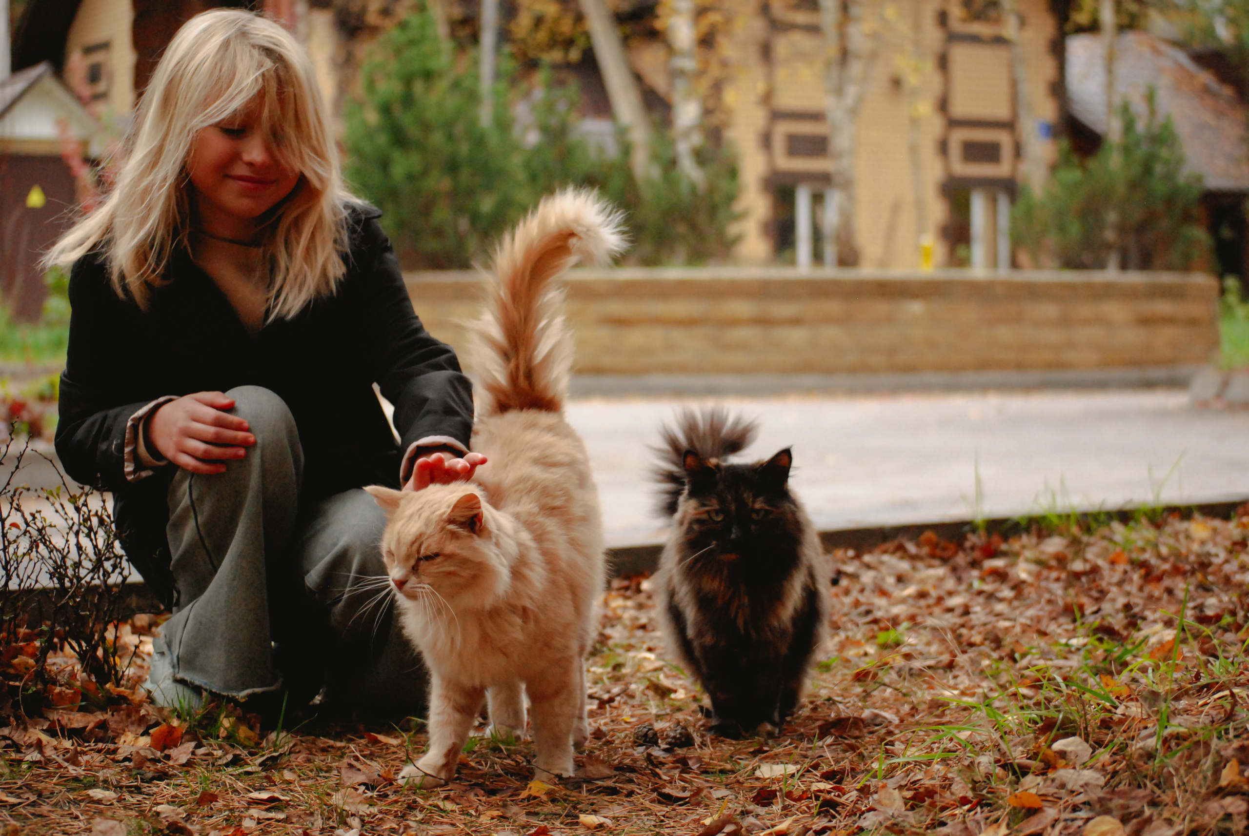 Московская область.Осенняя фотопрогулка. Арина. Индивидуальная и Семейная Фотосъёмка для каждого