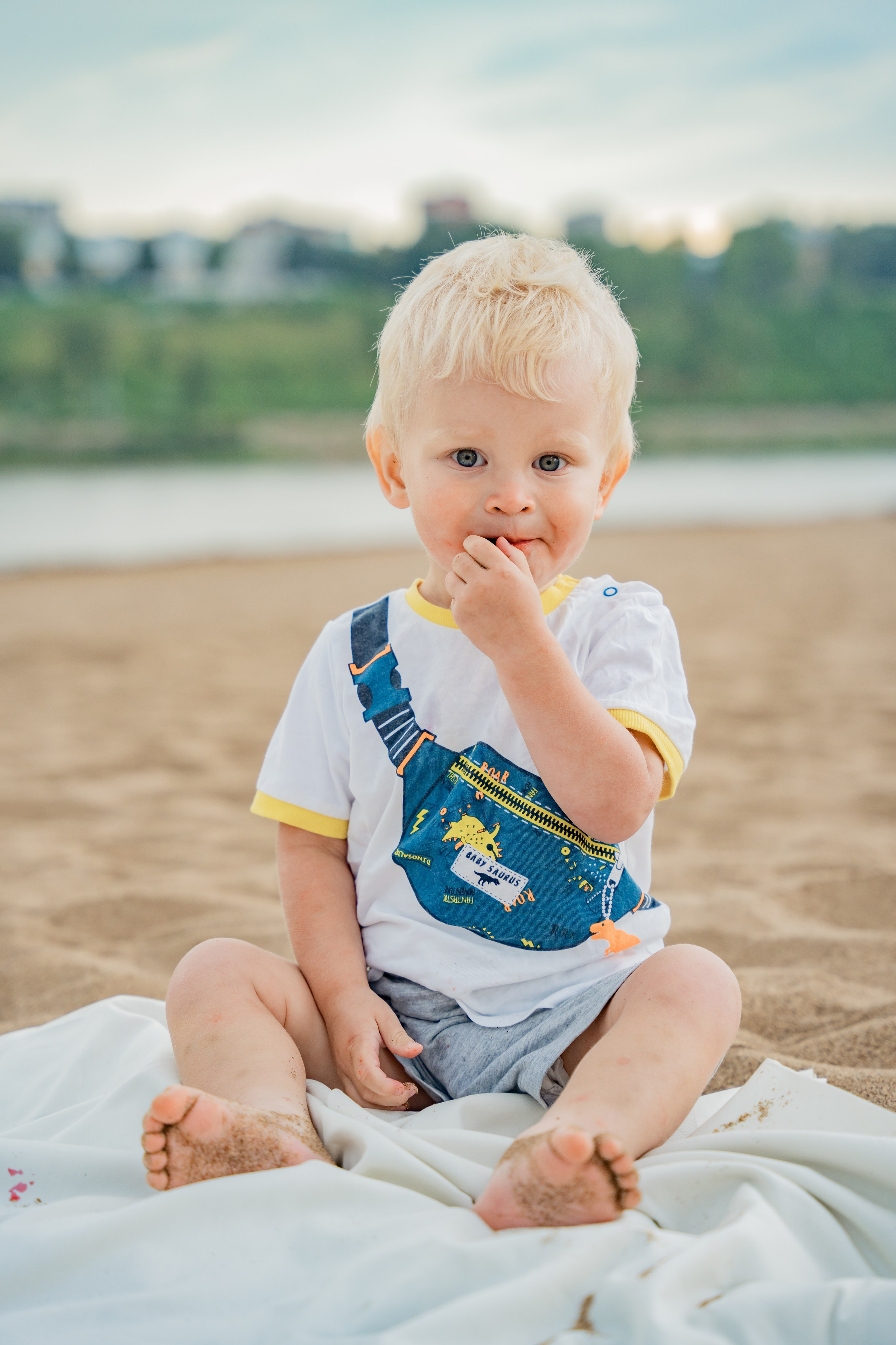 Прогулка с лапой. Пляж. Гроза
