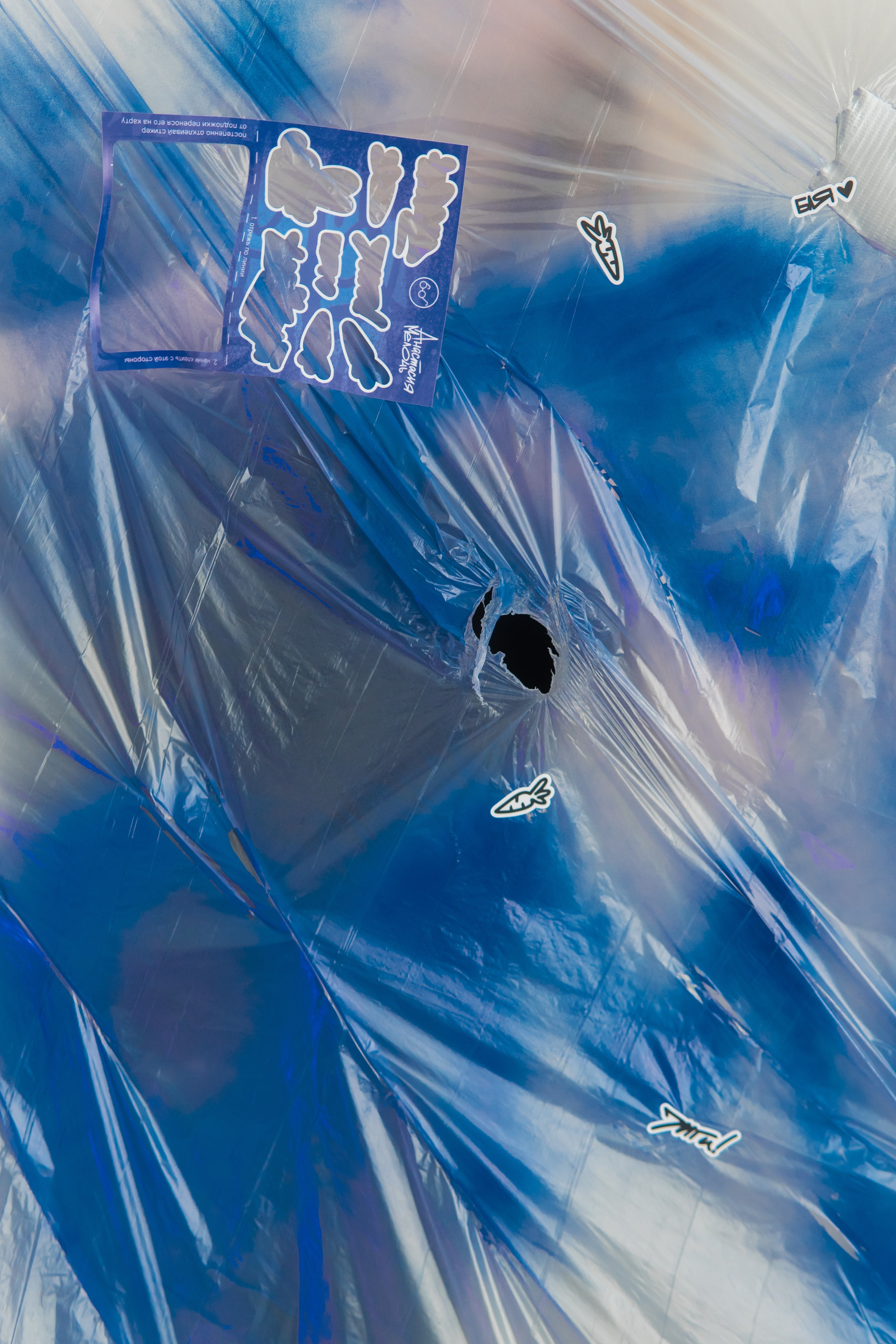 Съемка мерча Анастасия Мелочь. Фотограф-анималист Ксения Воробьева, Москва