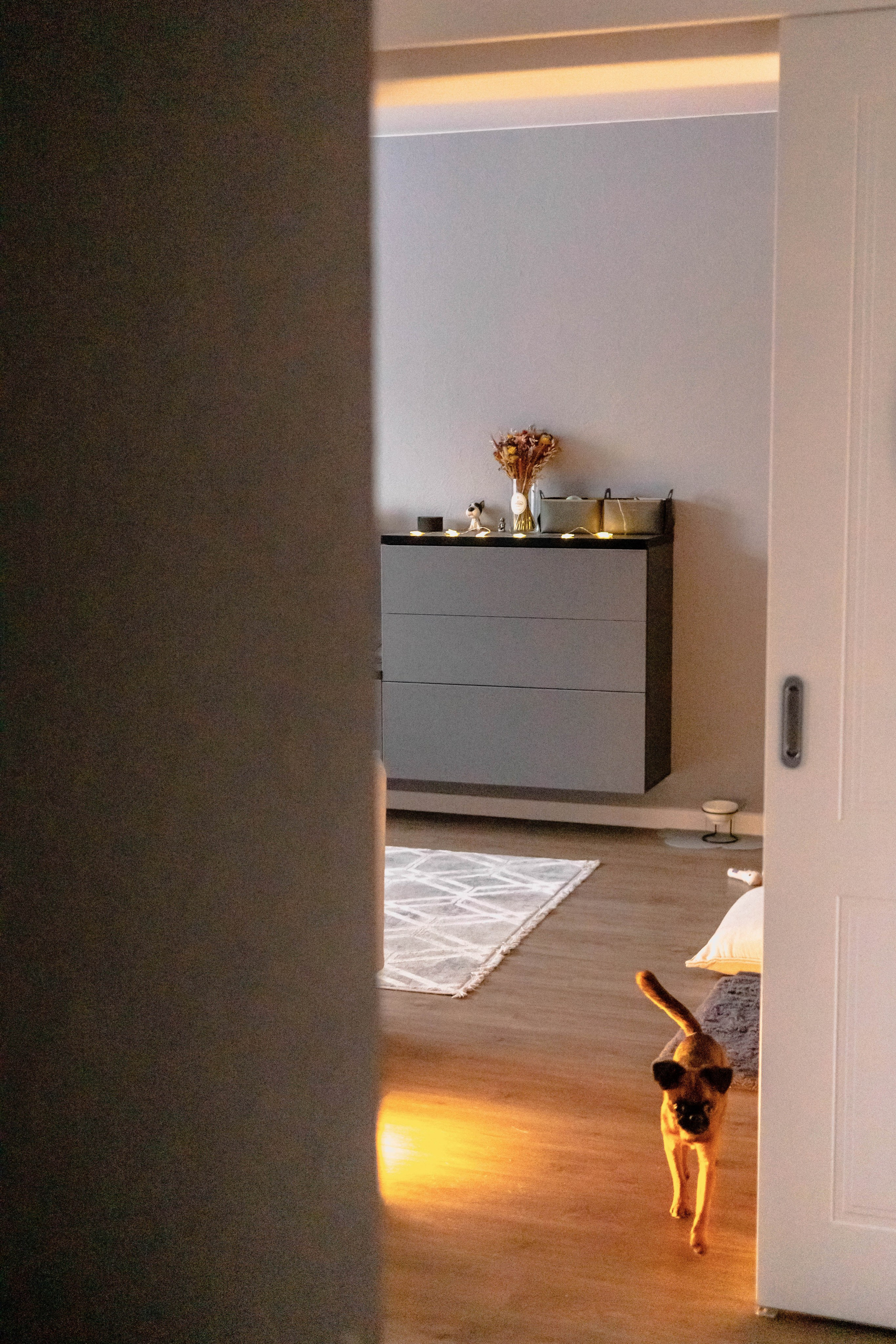 Надя и Ефим. Фотограф-анималист Ксения Воробьева, Москва