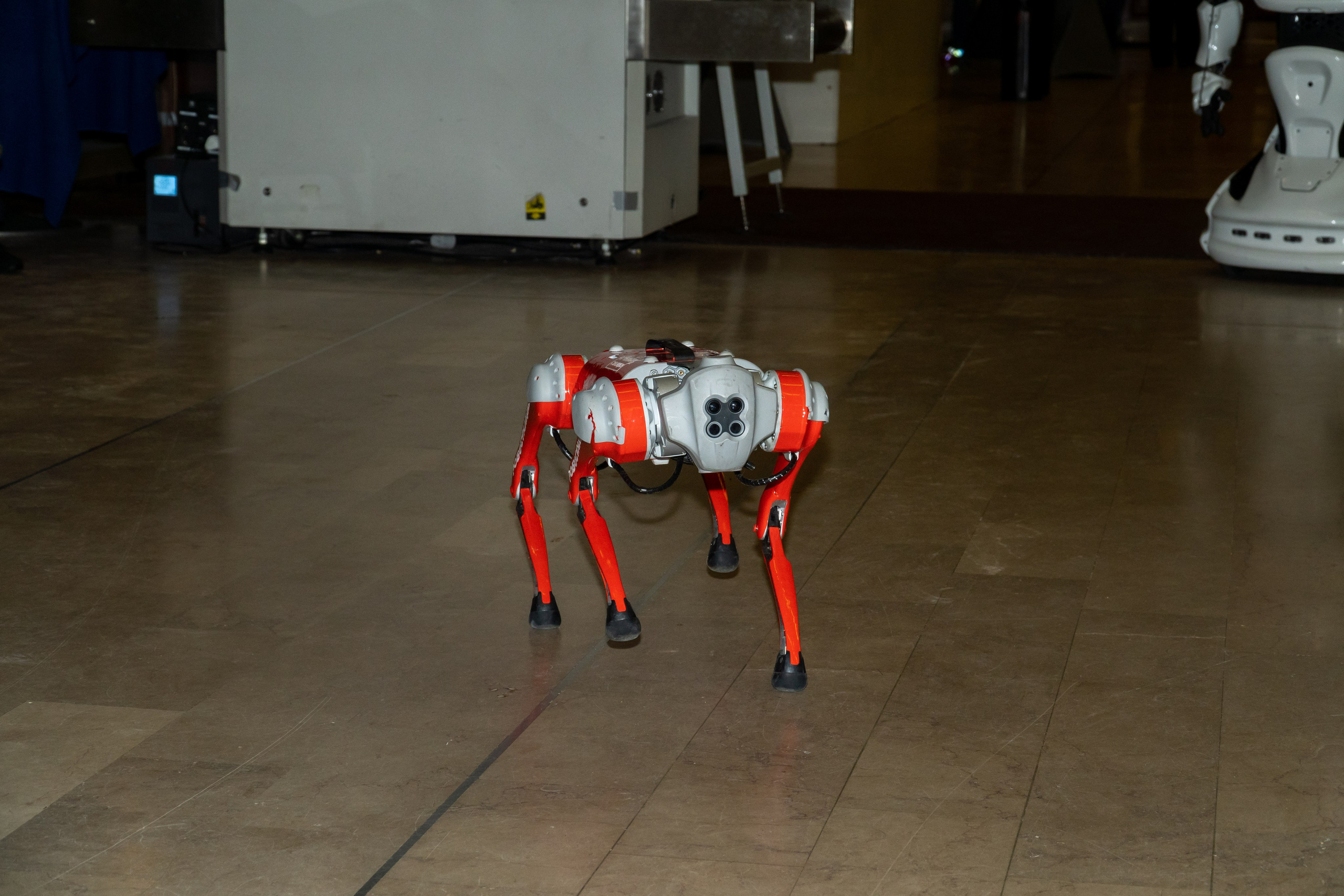 Съёмка концерта для Домисольки, большой концертный зал Космос. «Студия DRONAVT`s» — видеосъёмка и фотография г. Москва