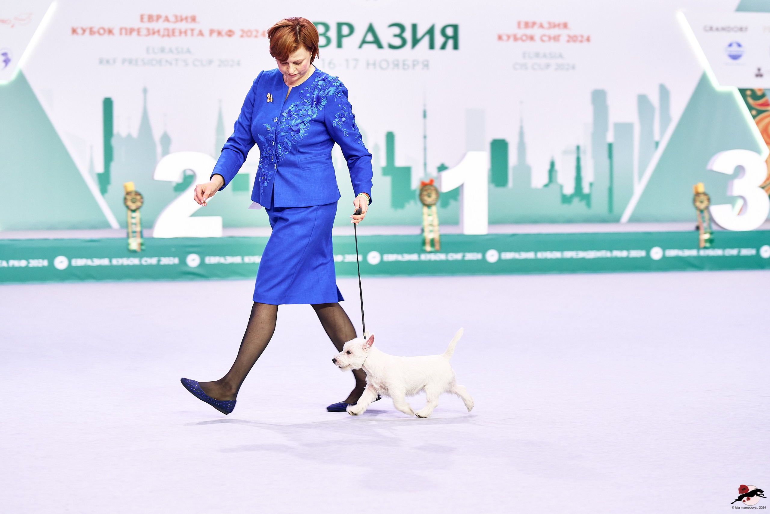 16.11.2024 «ЕВРАЗИЯ. КУБОК ПРЕЗИДЕНТА РКФ 2024»