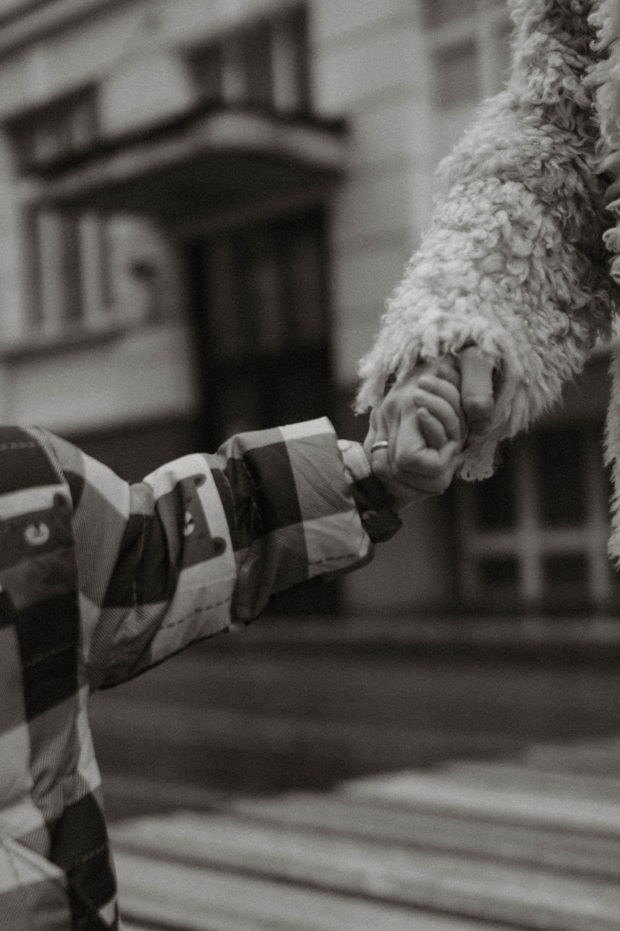 Вера, Егор. Семейный фотограф Юлия Котова