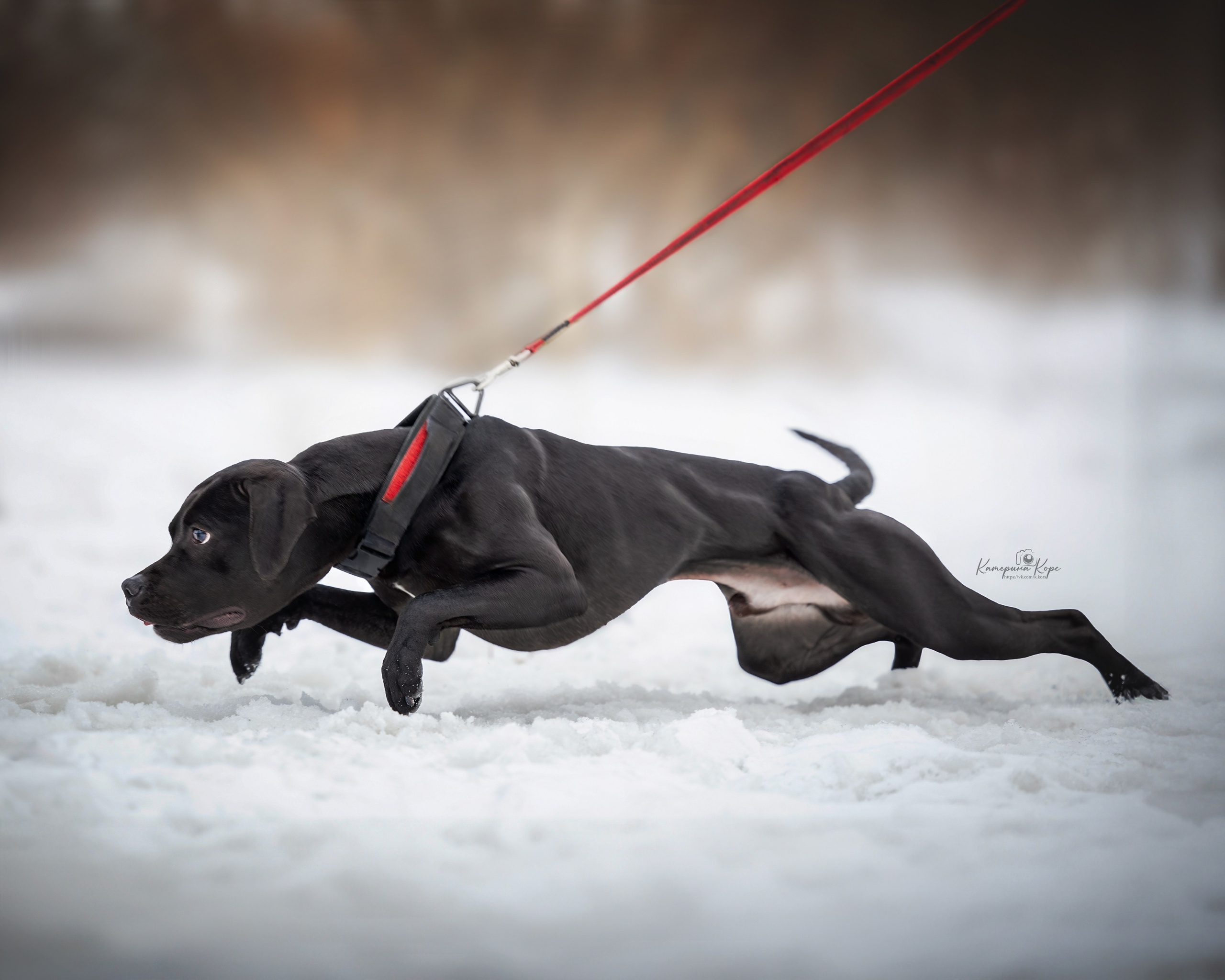 АПБТ Мавр. Главная