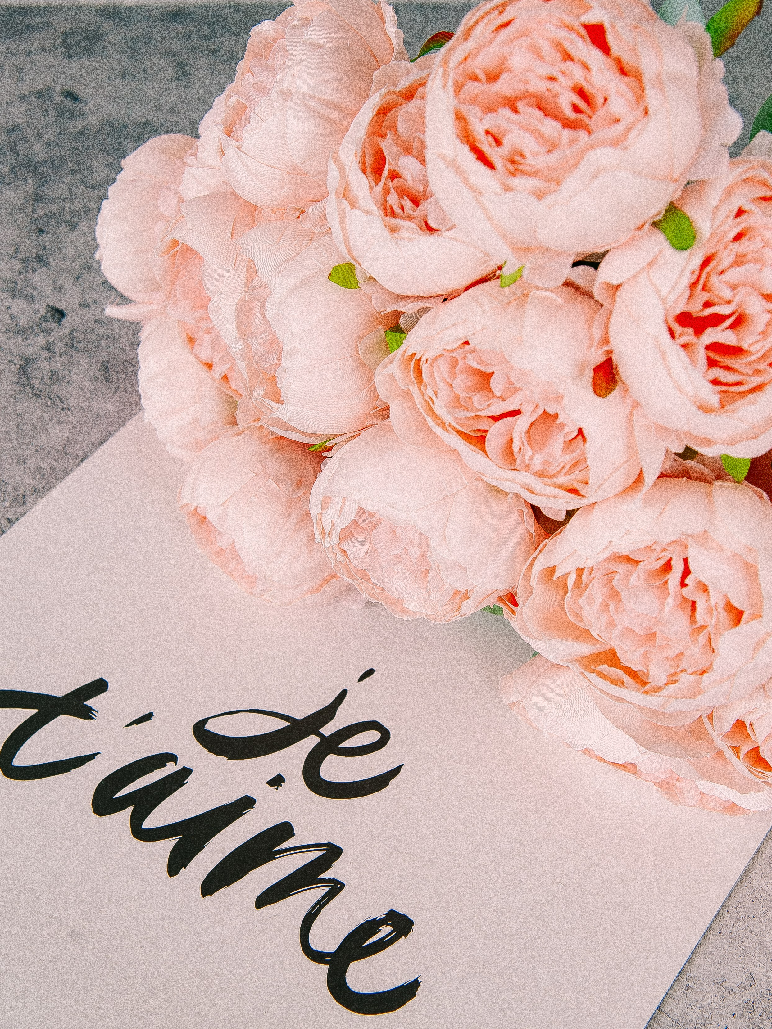 Предметная съёмка. Ozon/wb