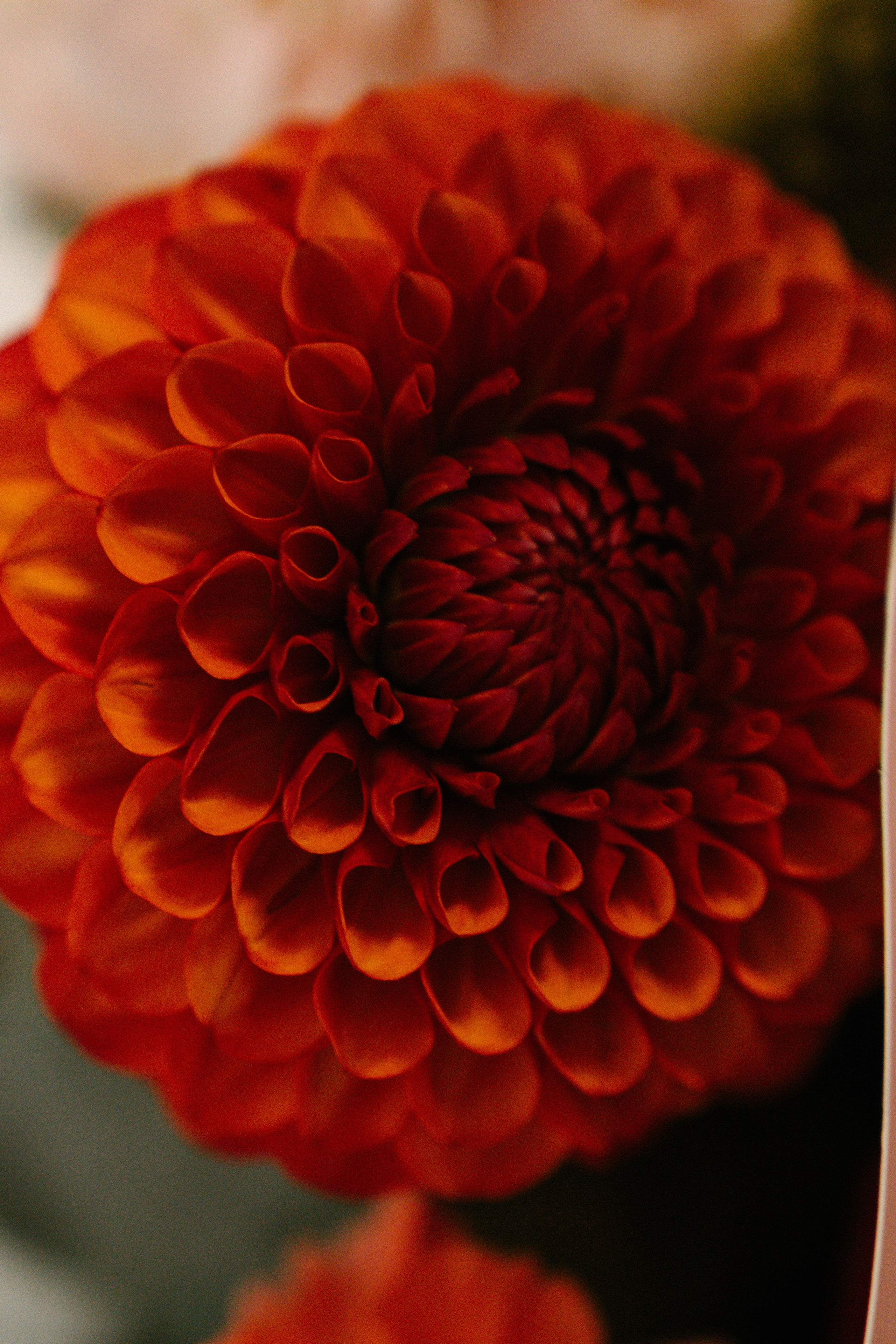 Фотограф Самара. Фотосъемка мероприятий Самара. Репортажный фотограф в Самаре. Хороший фотограф в Самаре. Фотосъемка корпоратива. Фотограф в Самара Роман Квес