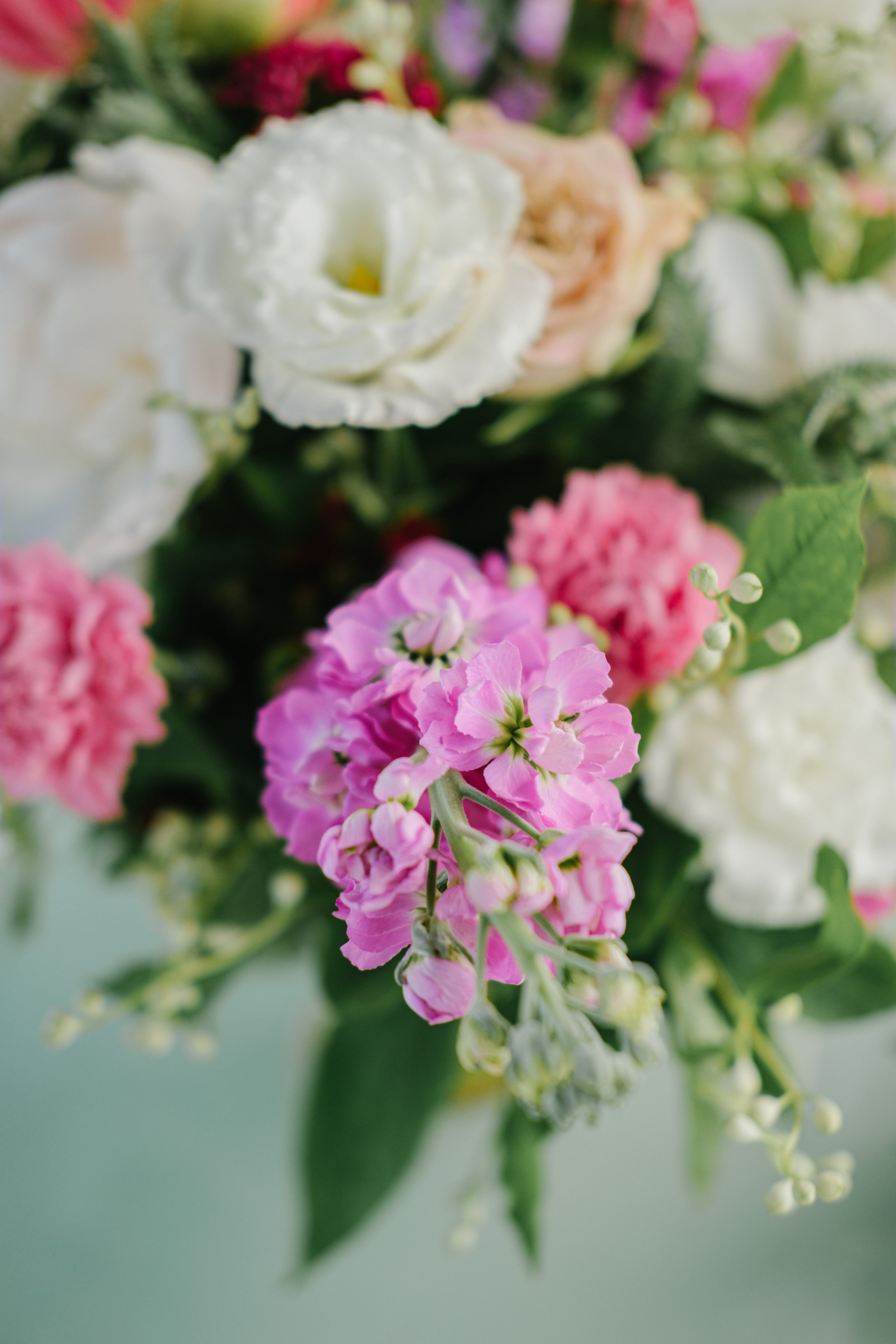 Морской. Свадебный Видеограф Фотограф в Сочи