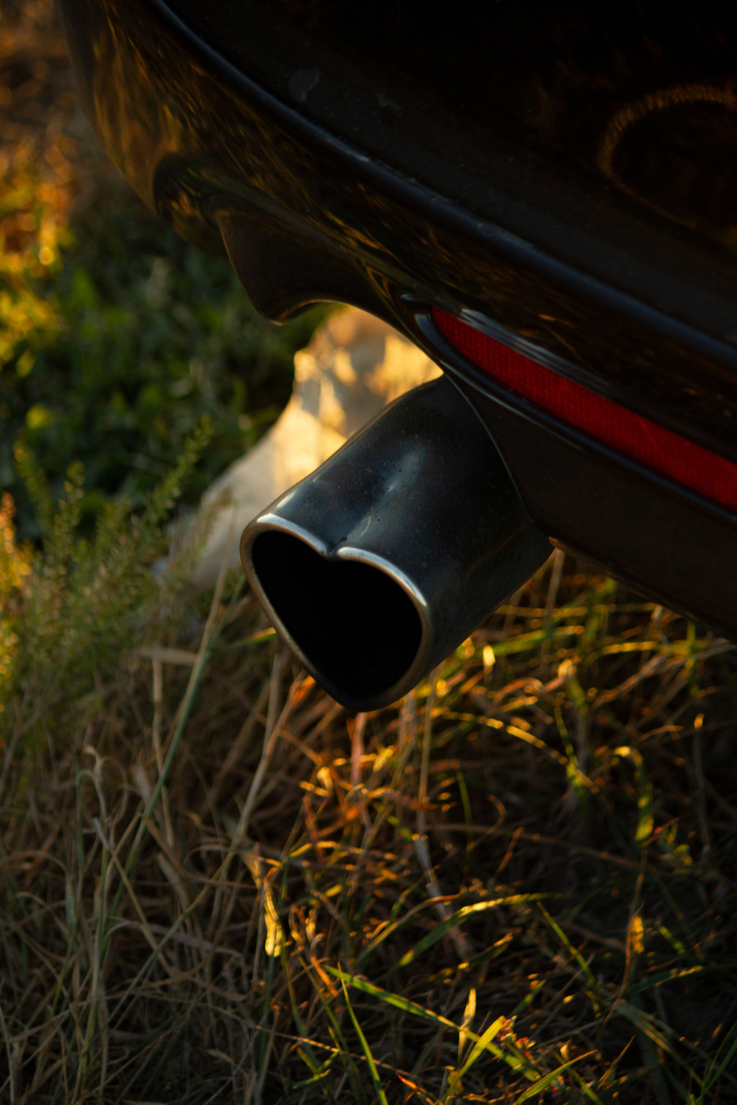 EMMA 22.09.24. Malenkyia