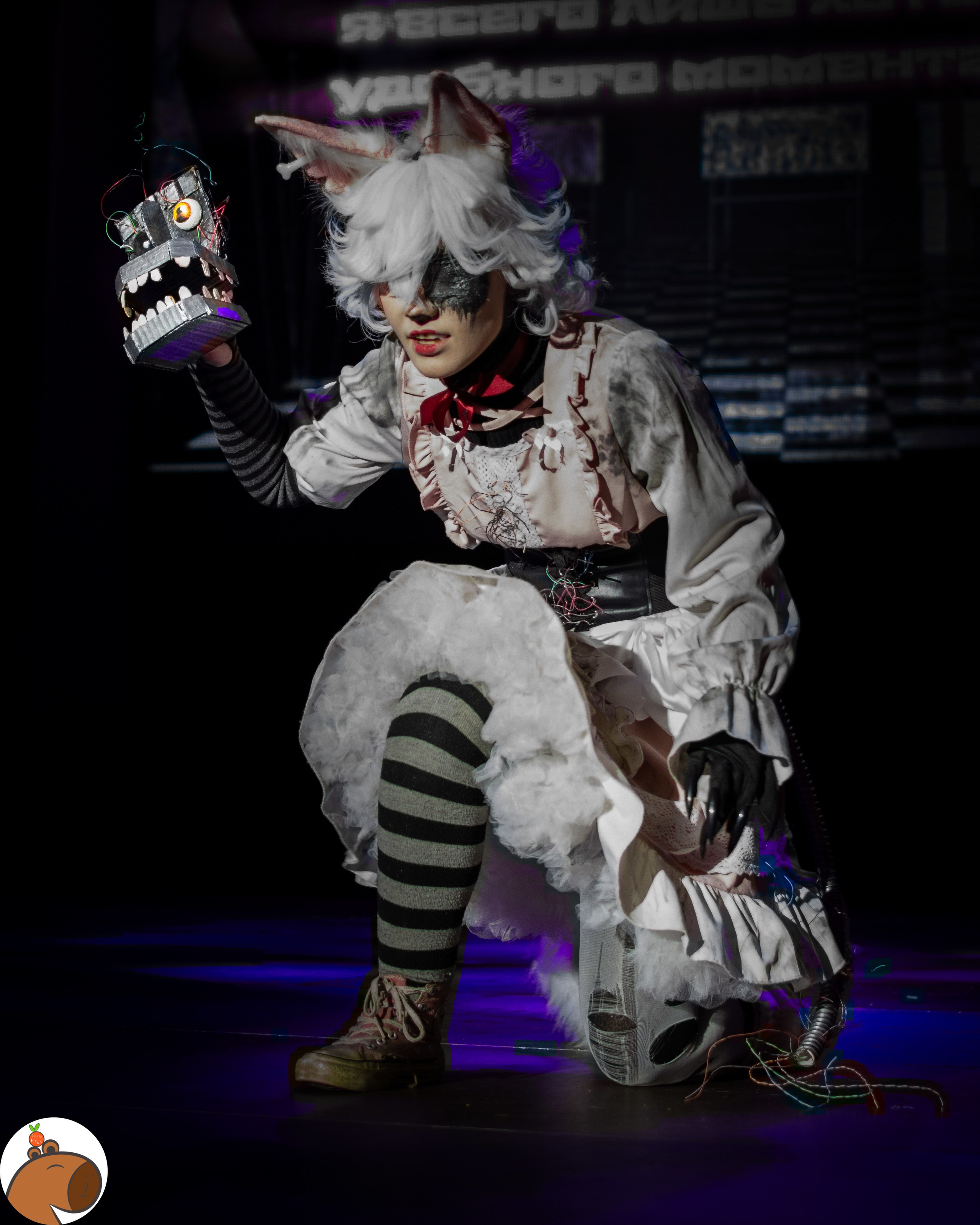 5 ночей с Капибарой. Уголок Капибарки