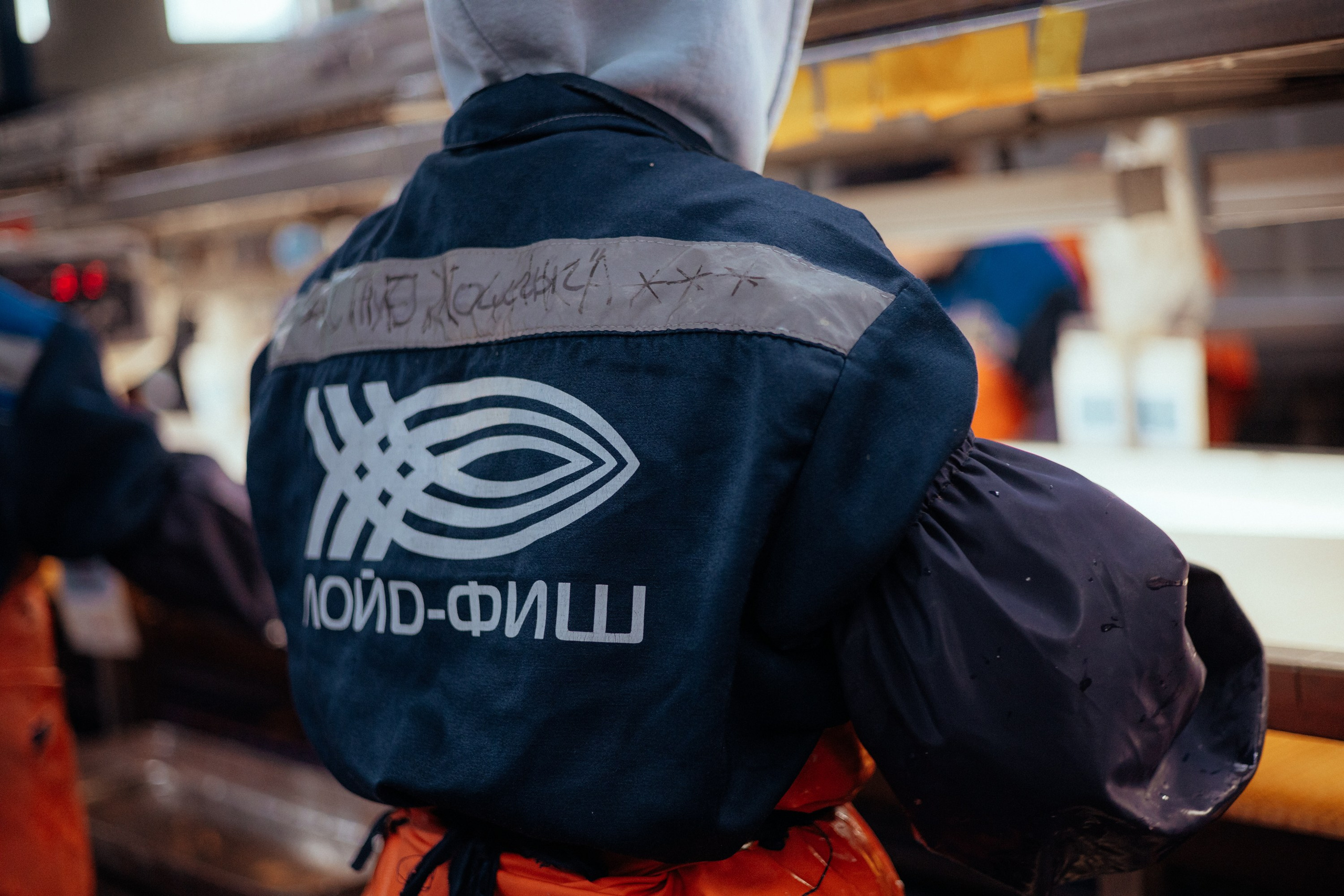 Ооо «лойд-фиш» | камчатка-2025