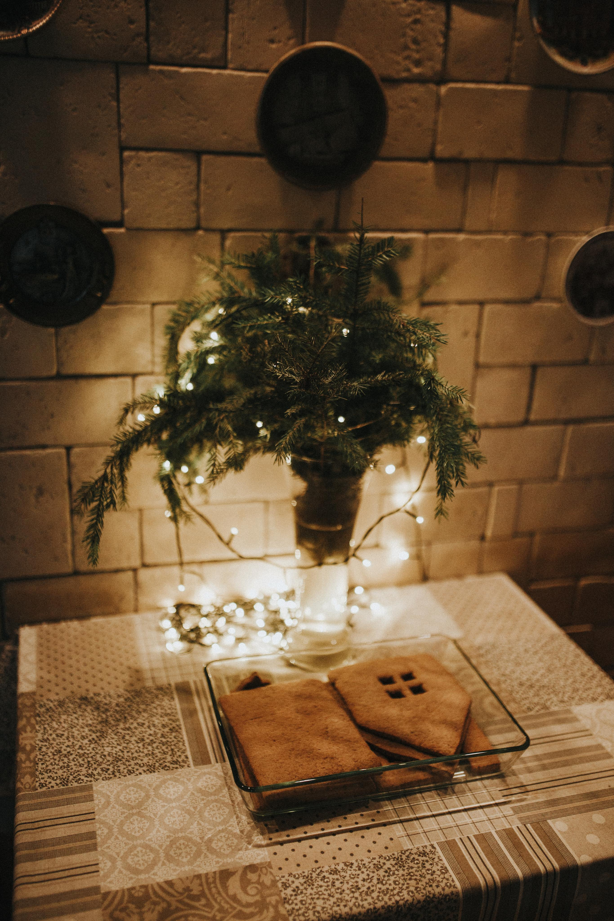 Пряничный дом. Свадебный и семейный фотограф Москва Екатерина Верижникова