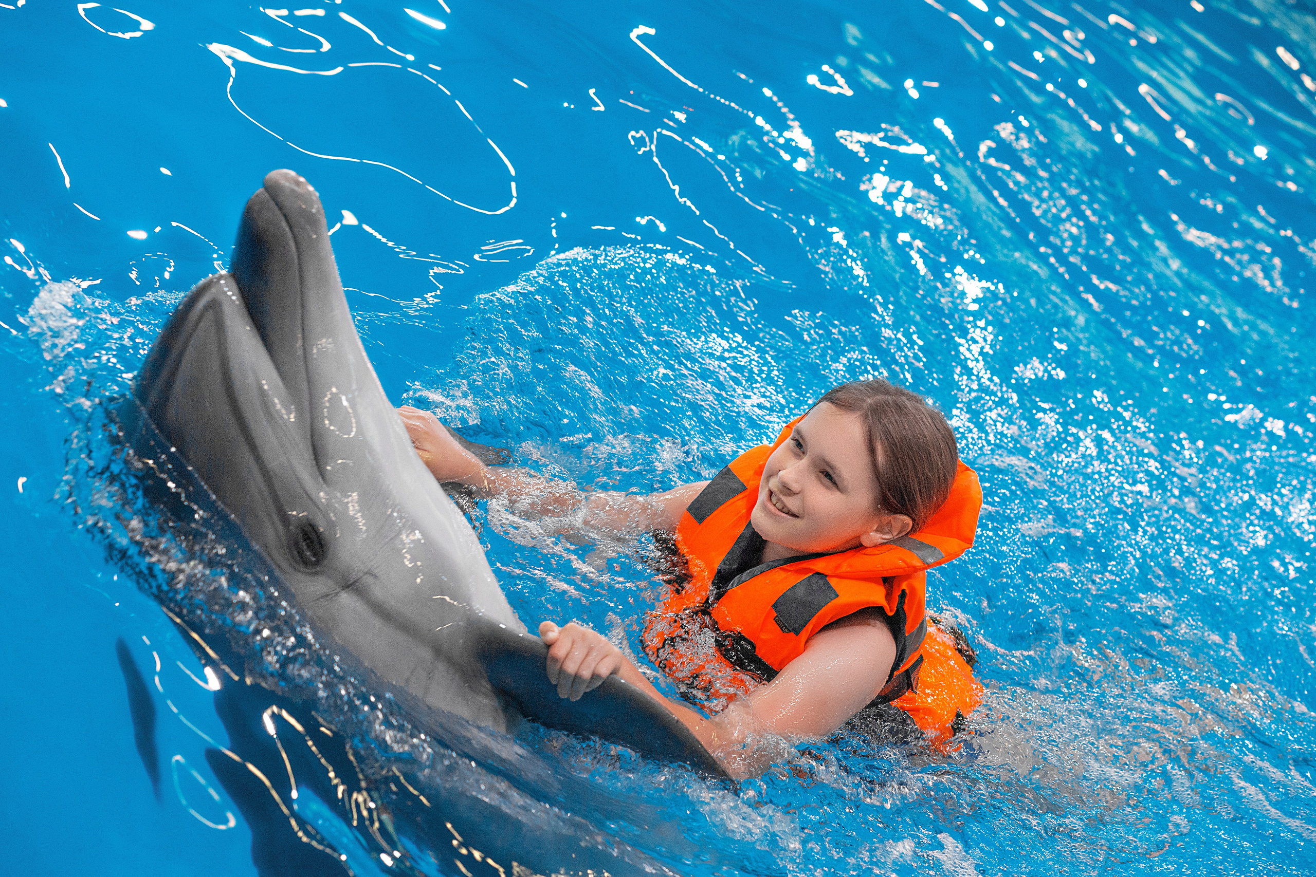 Фотосессия с дельфинами. Фотосессия с лошадьми в Нижнем Новгороде