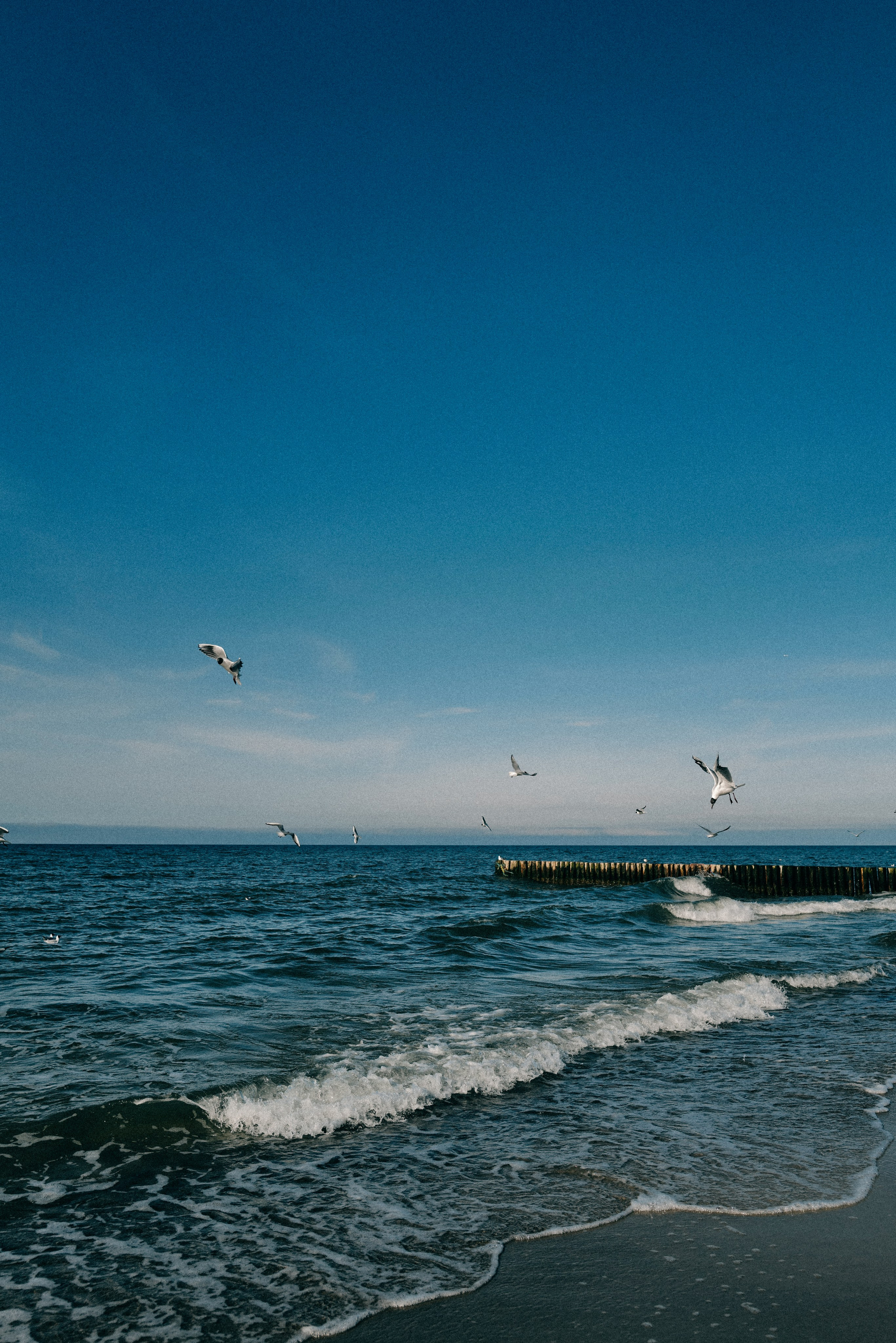 Zelenogradsk. Фотограф София Комкина