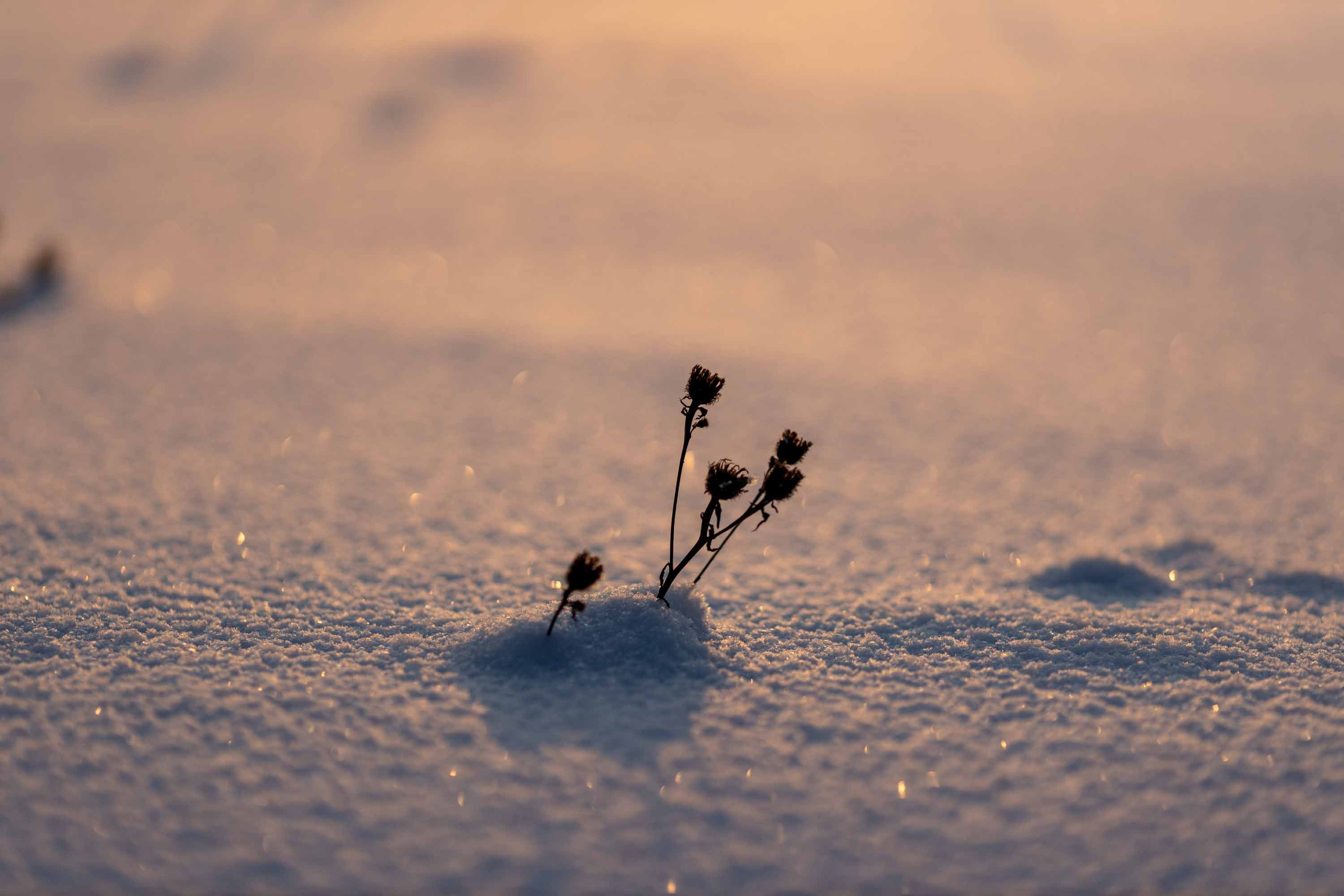 Природные пейзажи. Наталия Клевинскас портретный фотограф в Костроме