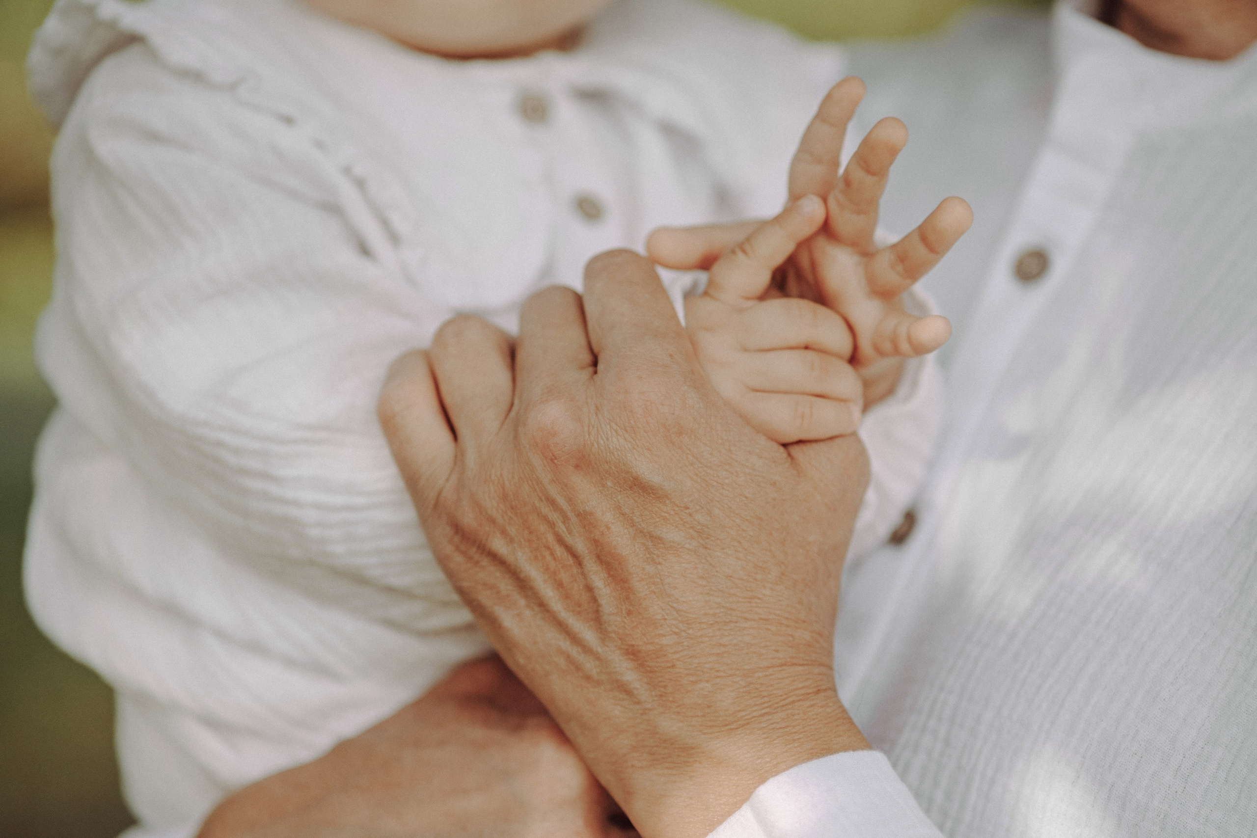 . Фотоёжъ | P H O T O E Z H O G R A P H Y