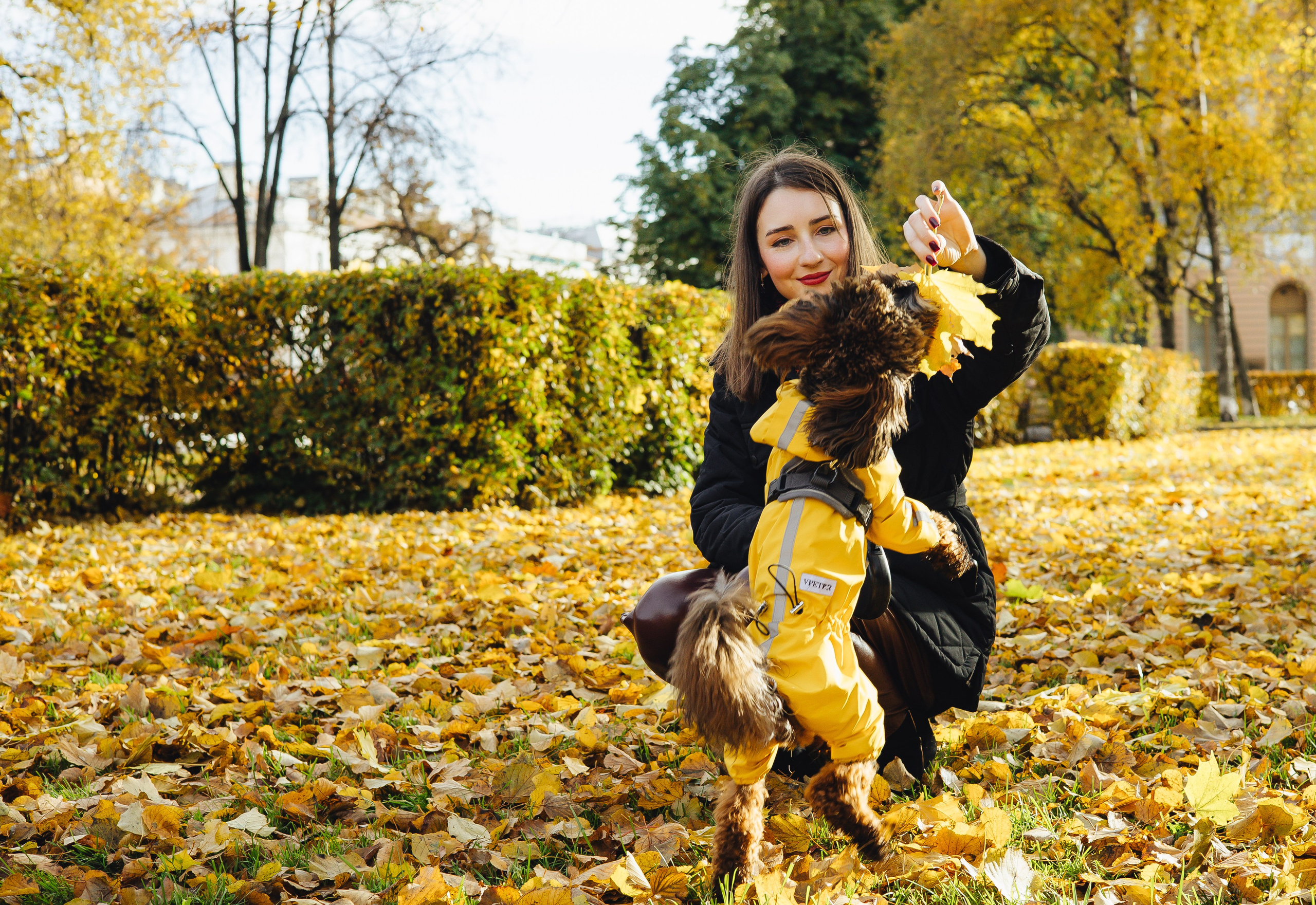 Летающая Мерси