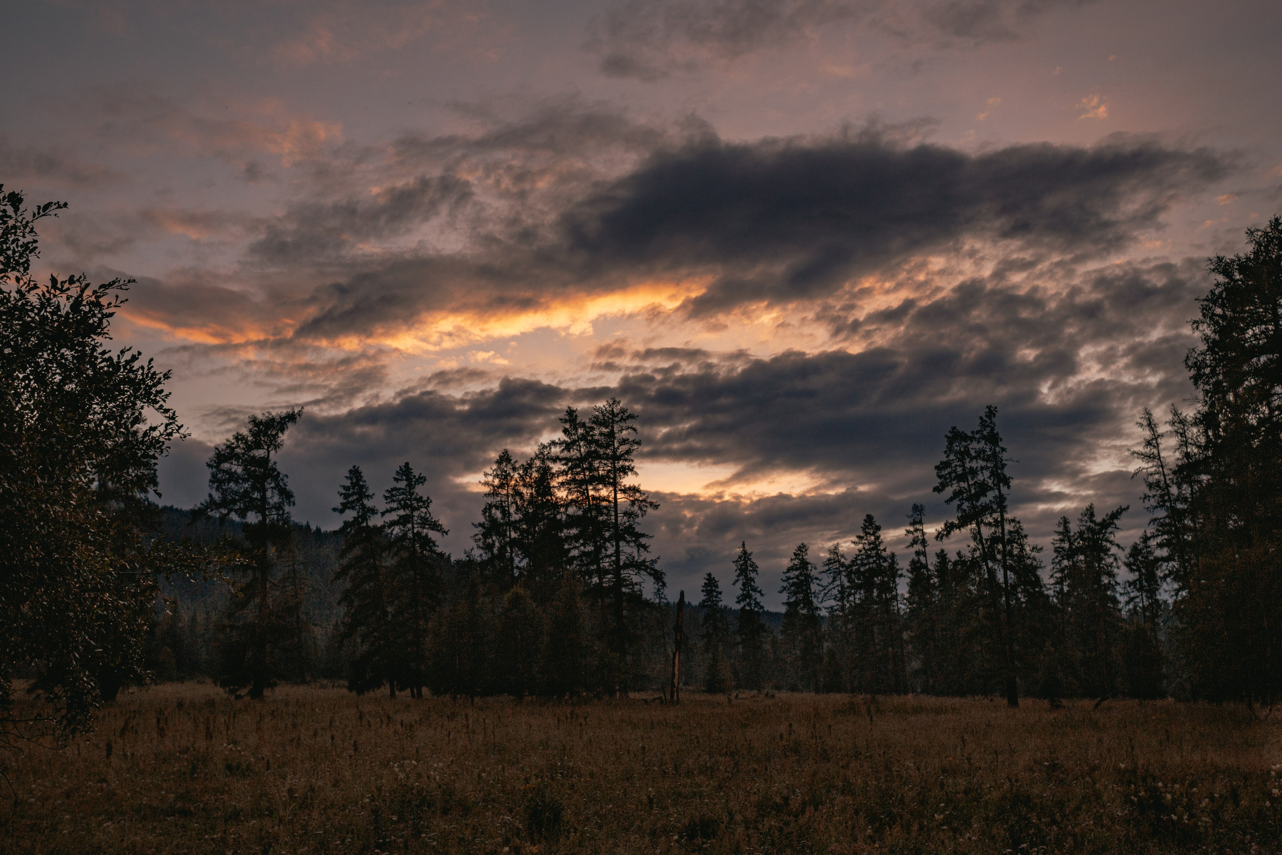 Катунский заповедник, Республика Алтай. Репортажный фотограф в Крыму Ксения Гасица