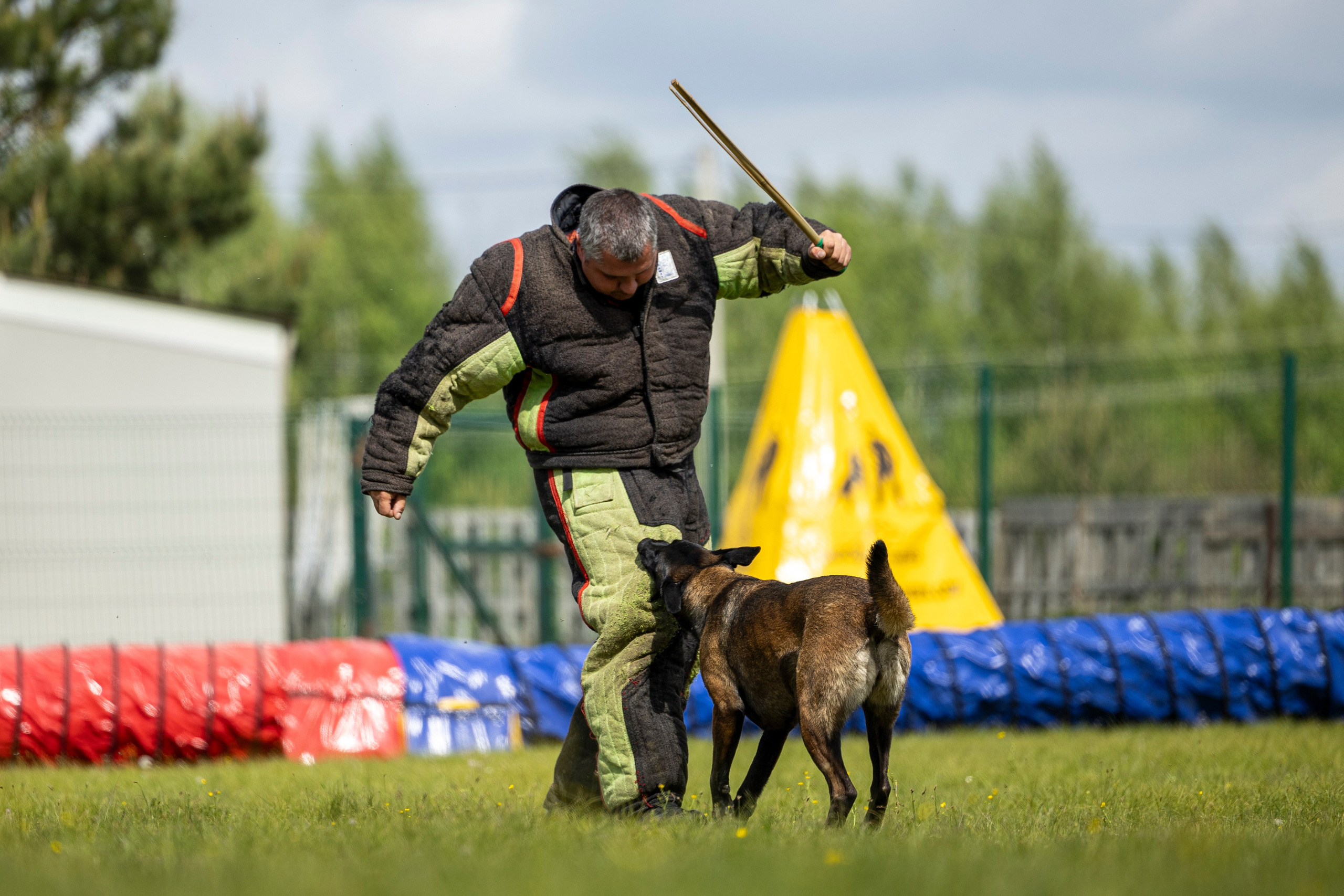 Испытания по мондьорингу в Нижнем Новгороде. Фотограф-анималист Анна Маринич
