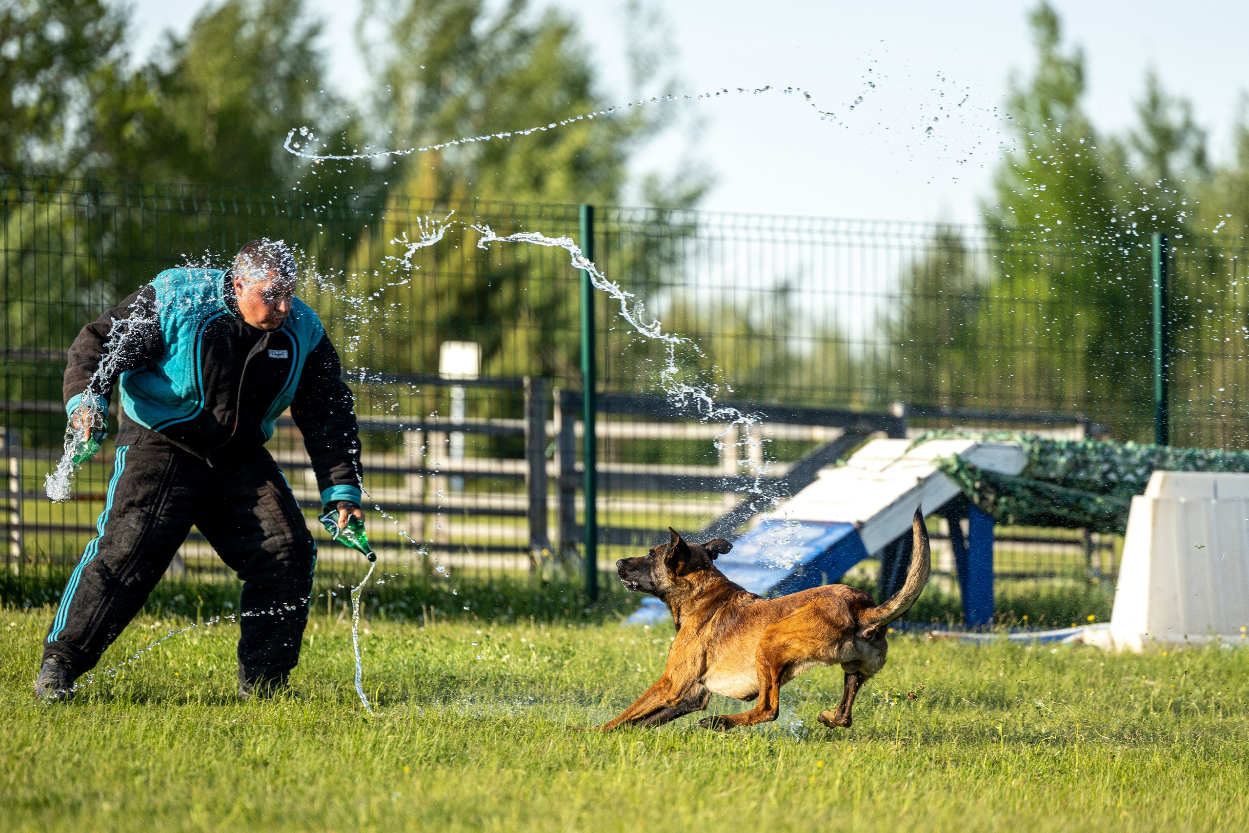 Испытания по мондьорингу в Нижнем Новгороде. Фотограф-анималист Анна Маринич