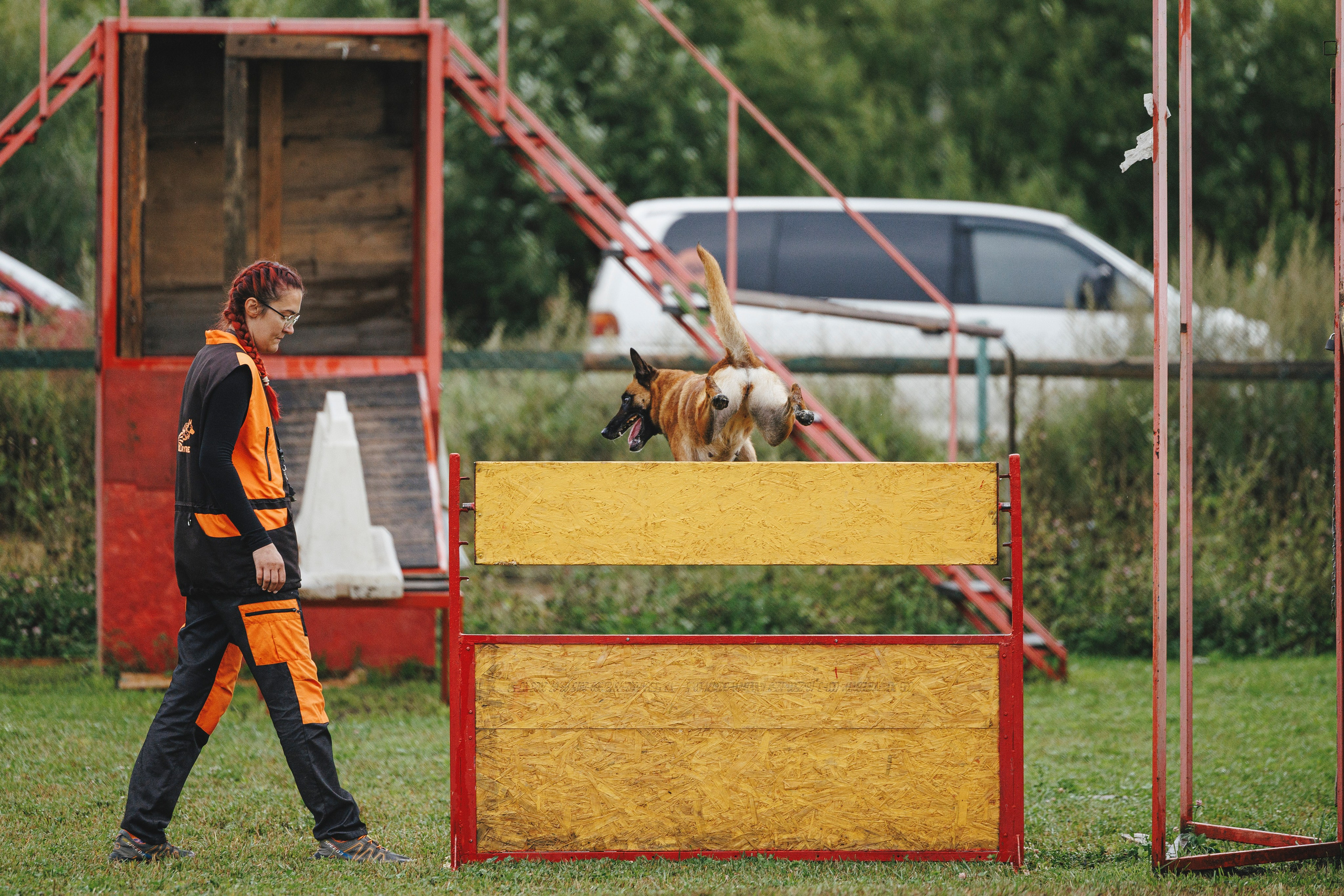 08.08.25-10.08.25 ЧР по мондьорингу г. Вологда. Фотограф-анималист Анна Маринич