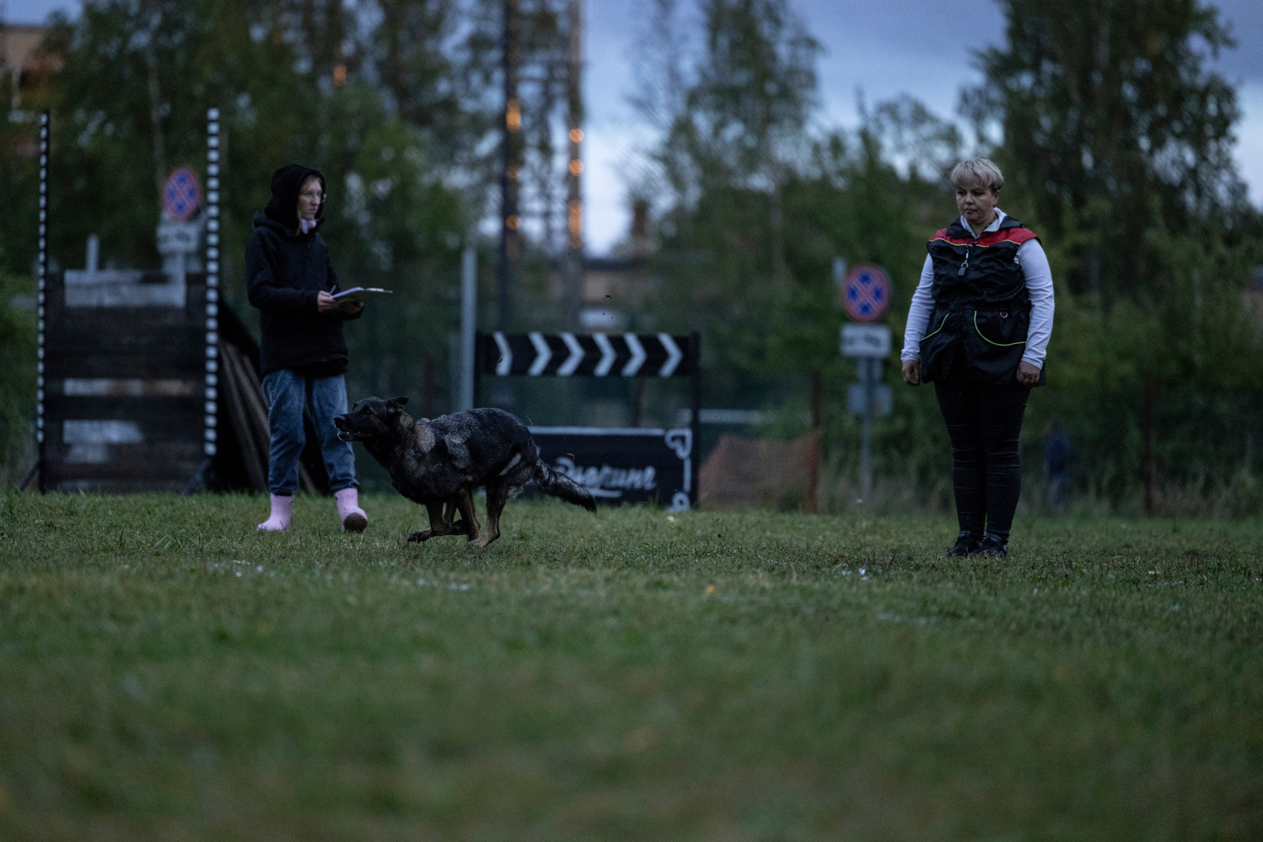 Испытания по Мондьорингу г. Пушкин. Фотограф-анималист Анна Маринич