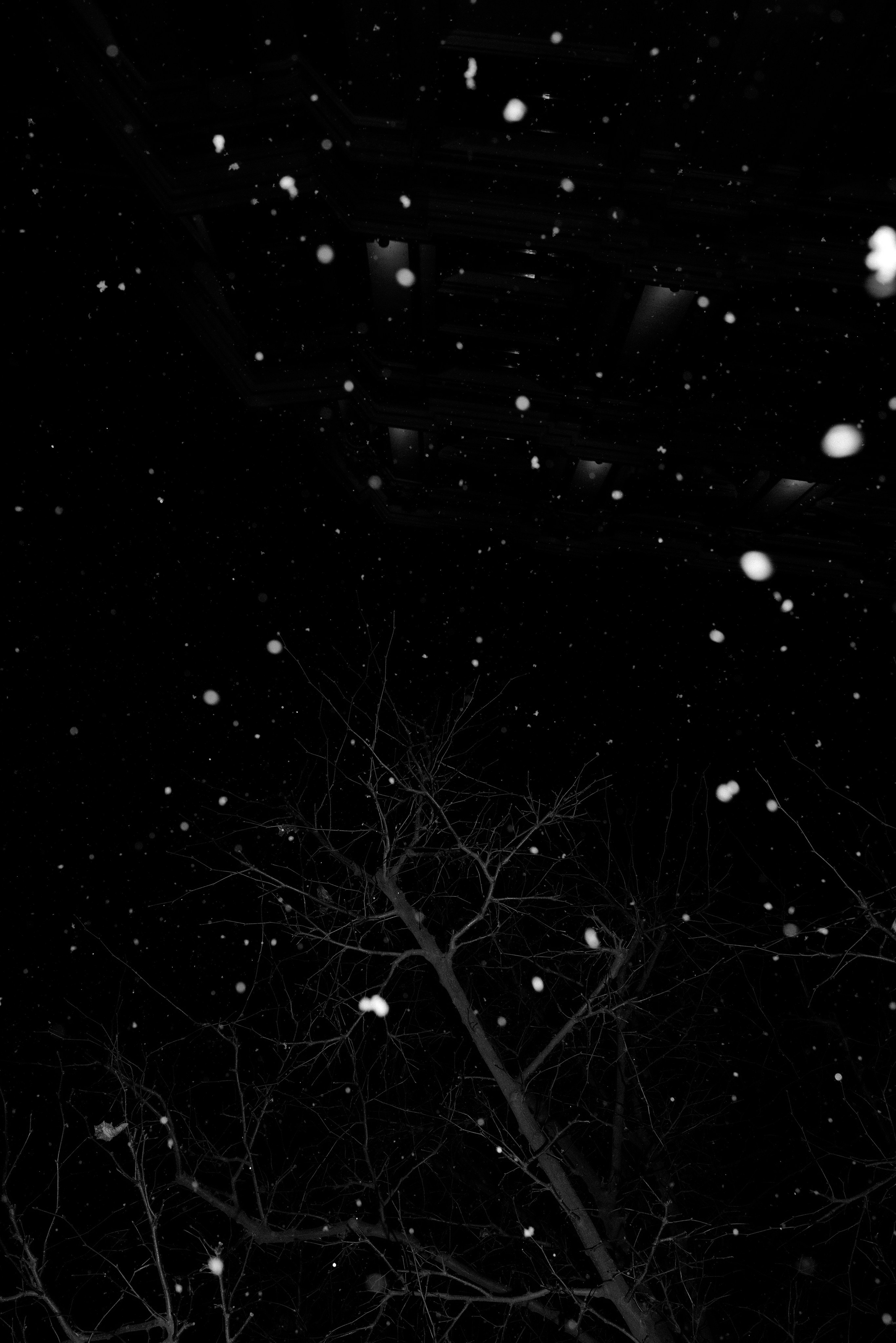 People_0002. Photographer and director