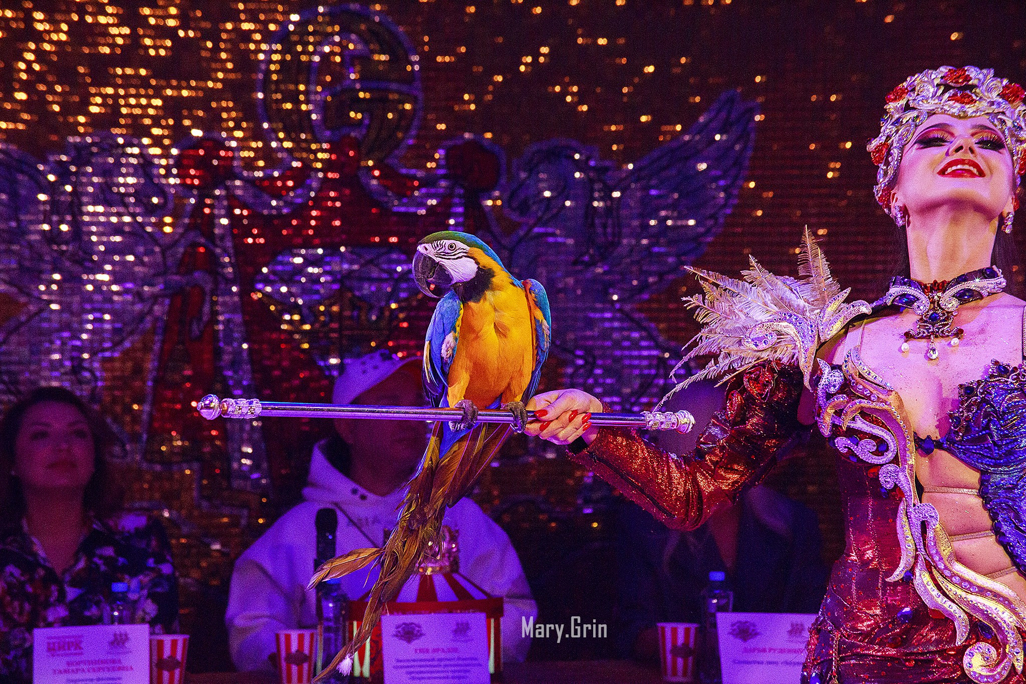 Цирк Гии Эрадзе. Детский и семейный фотограф, фотограф мероприятий Нижний Новгород