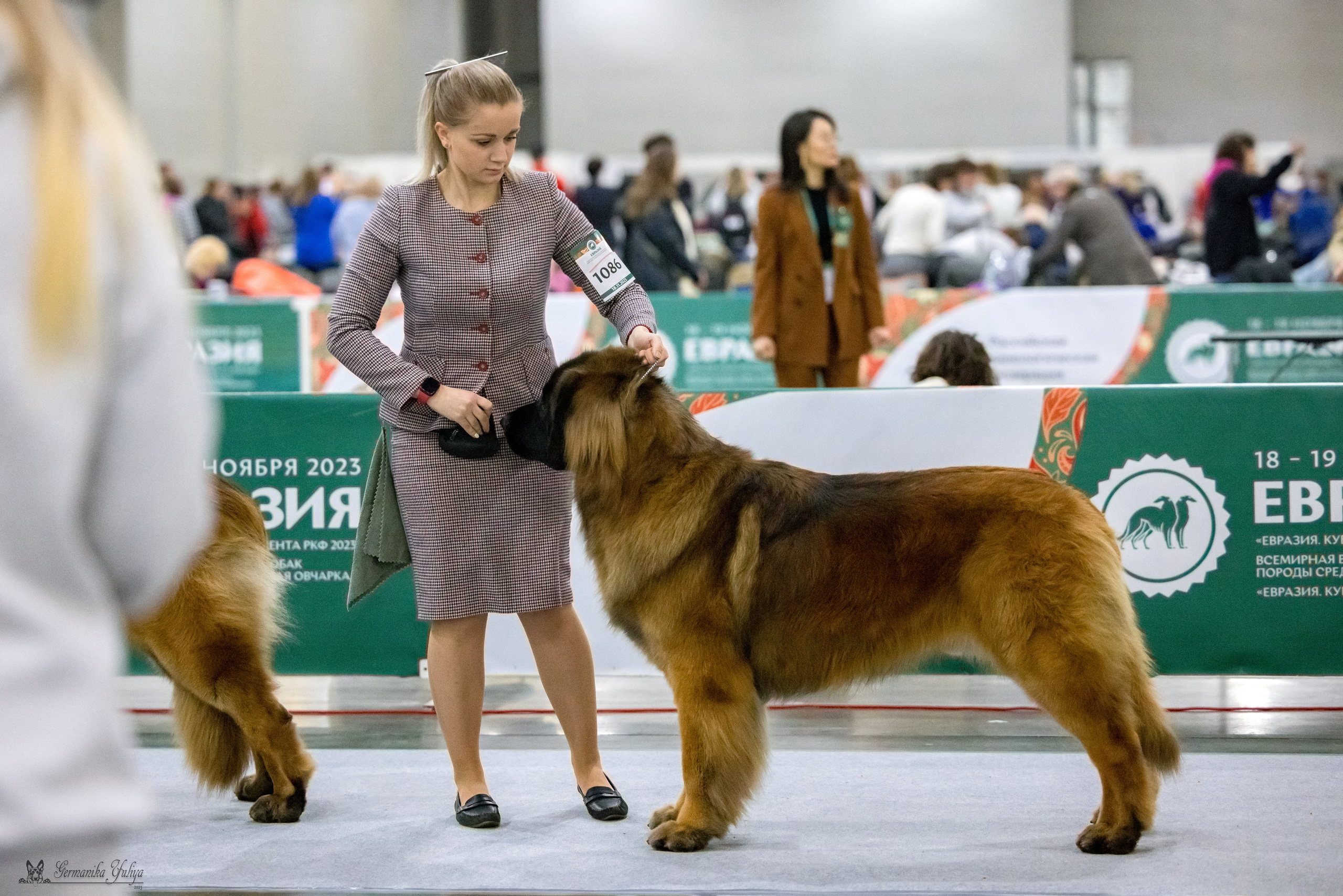 ЕВРАЗИЯ 18-19.11.2023. Фотограф-анималист Юлия Германика