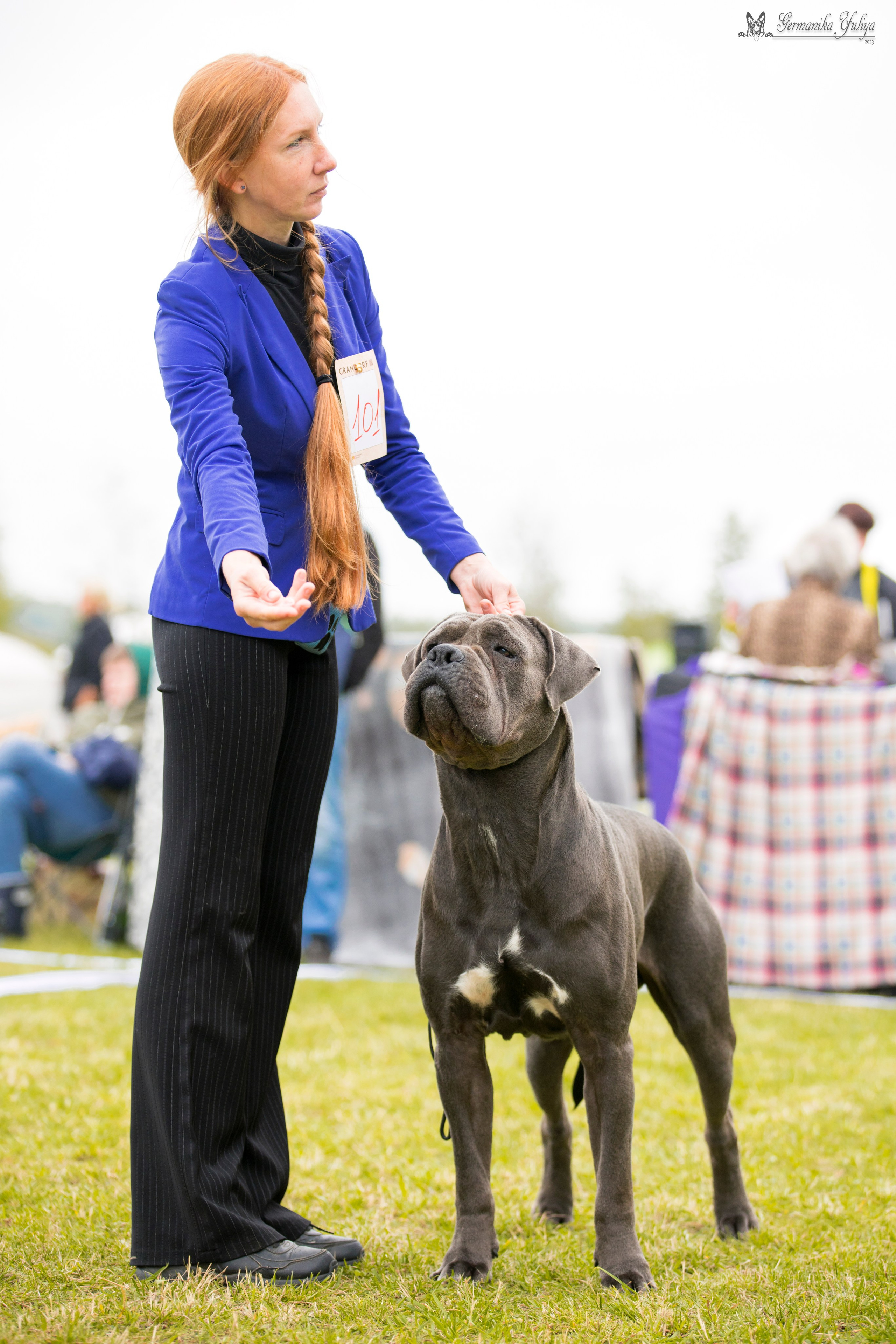 Переславль 9-10.09.2023. Фотограф-анималист Юлия Германика
