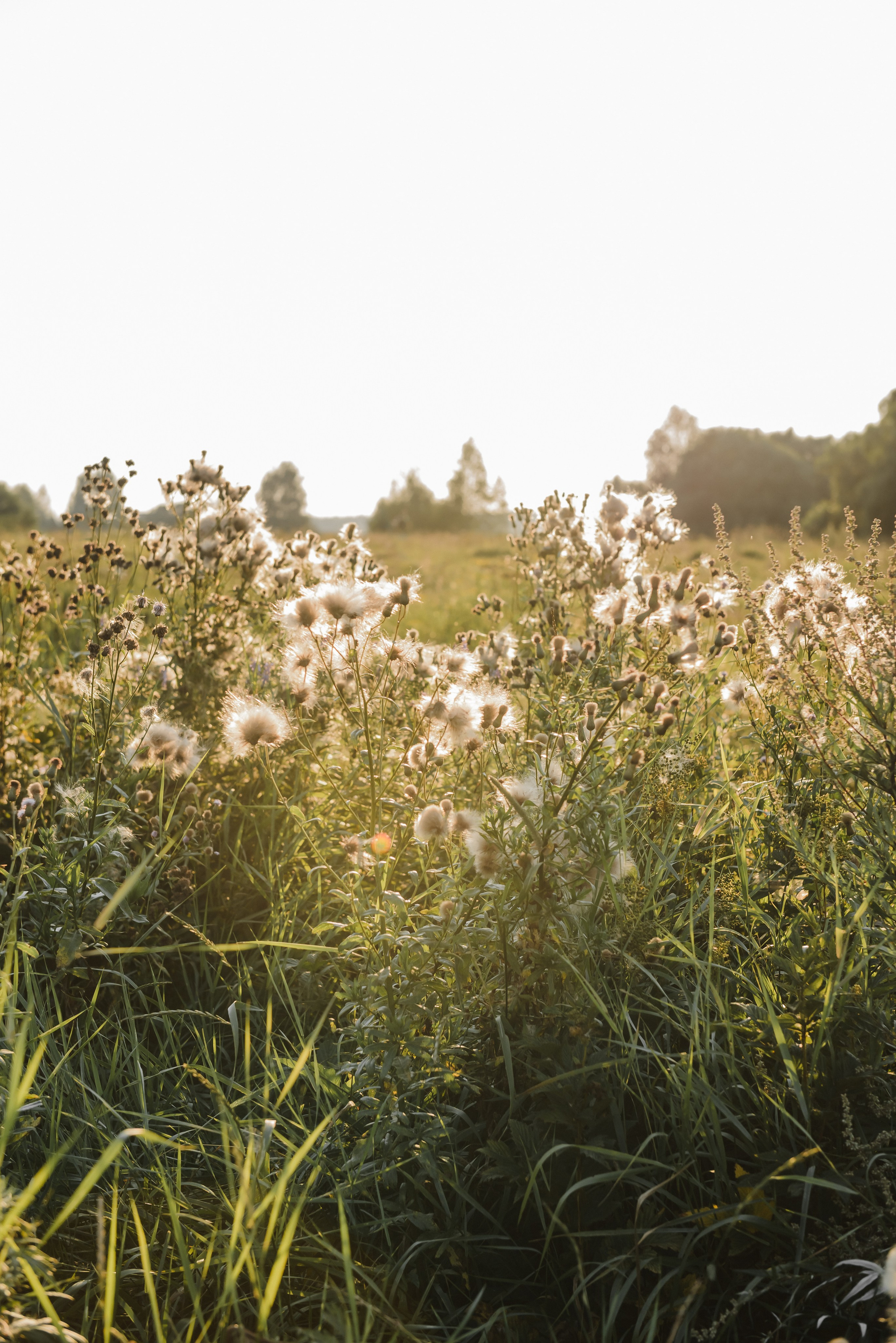 СЕРГЕЙ И ДАША +1. Фотограф Лопаткина Ирина