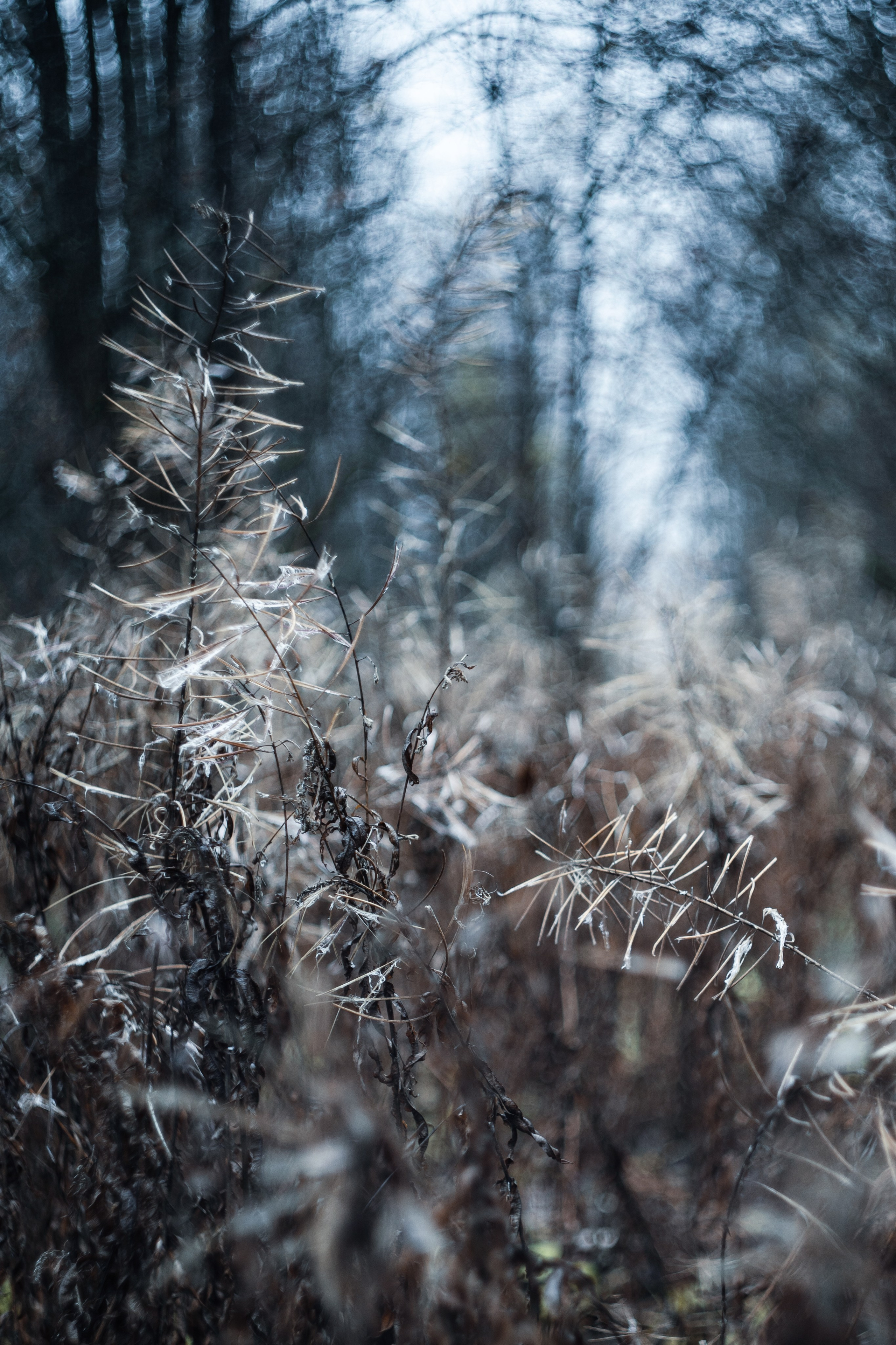 Природа. Фотограф Ирина Иванова