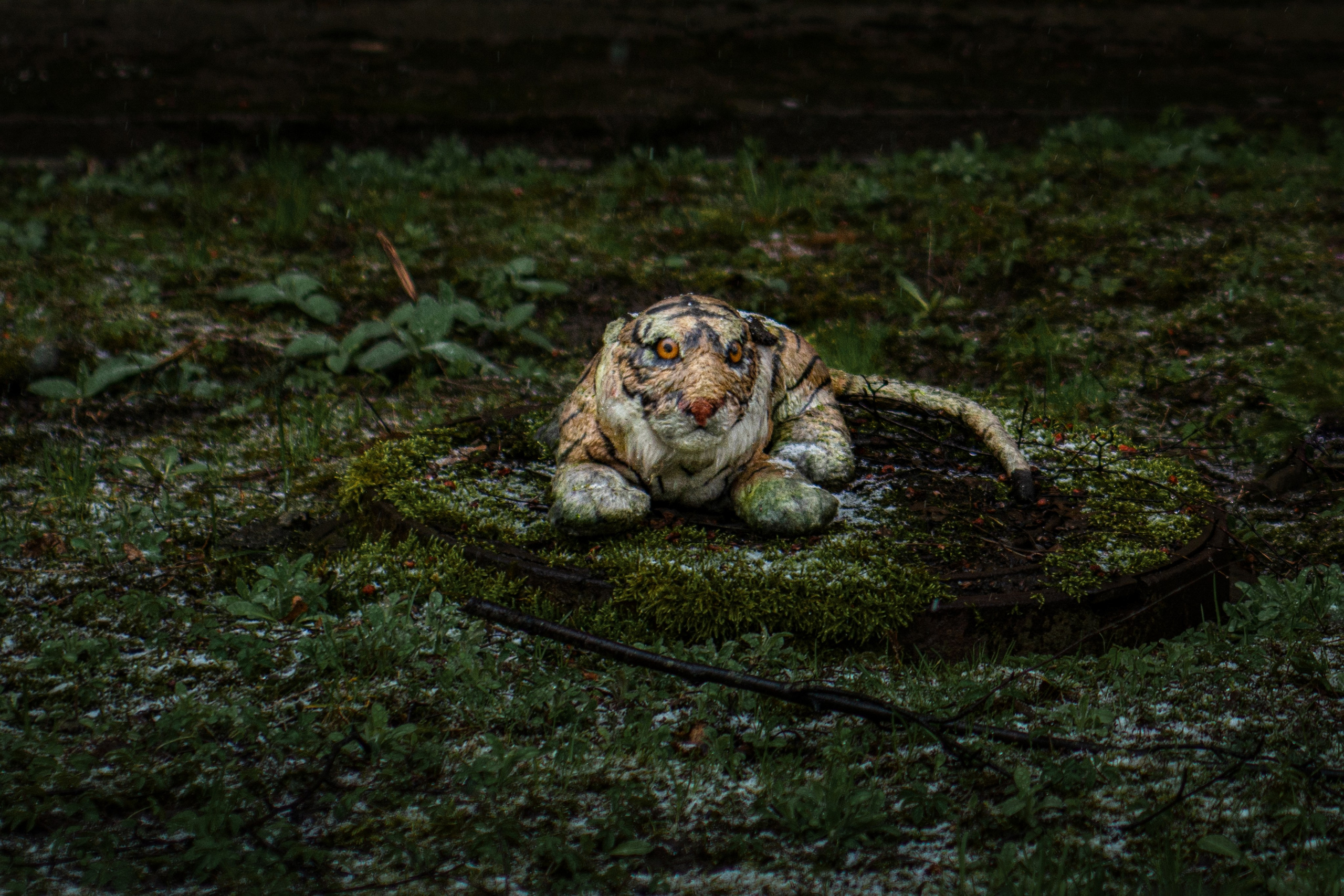 Игрушки. Главная