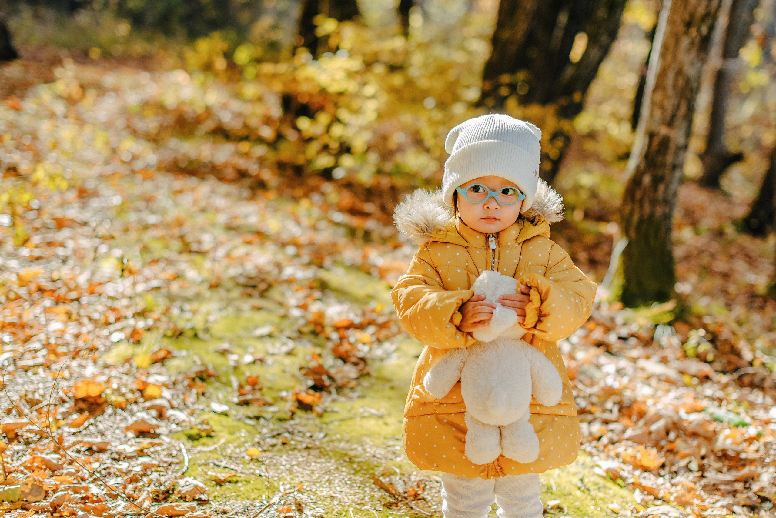 ТЕПЛАЯ ОСЕНЬ. Шашкова Вероника / Свадебный и семейный фотограф Москва и Ярославль