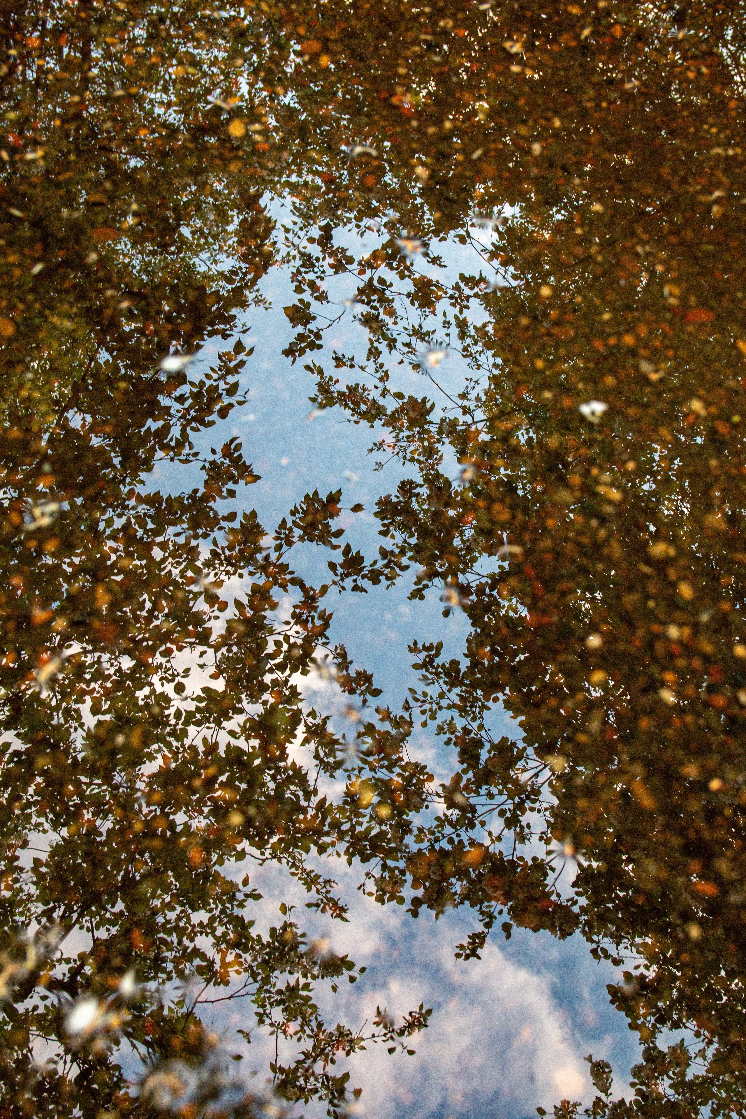 Пища для глаз. Ваш фотограф Северск | Томск