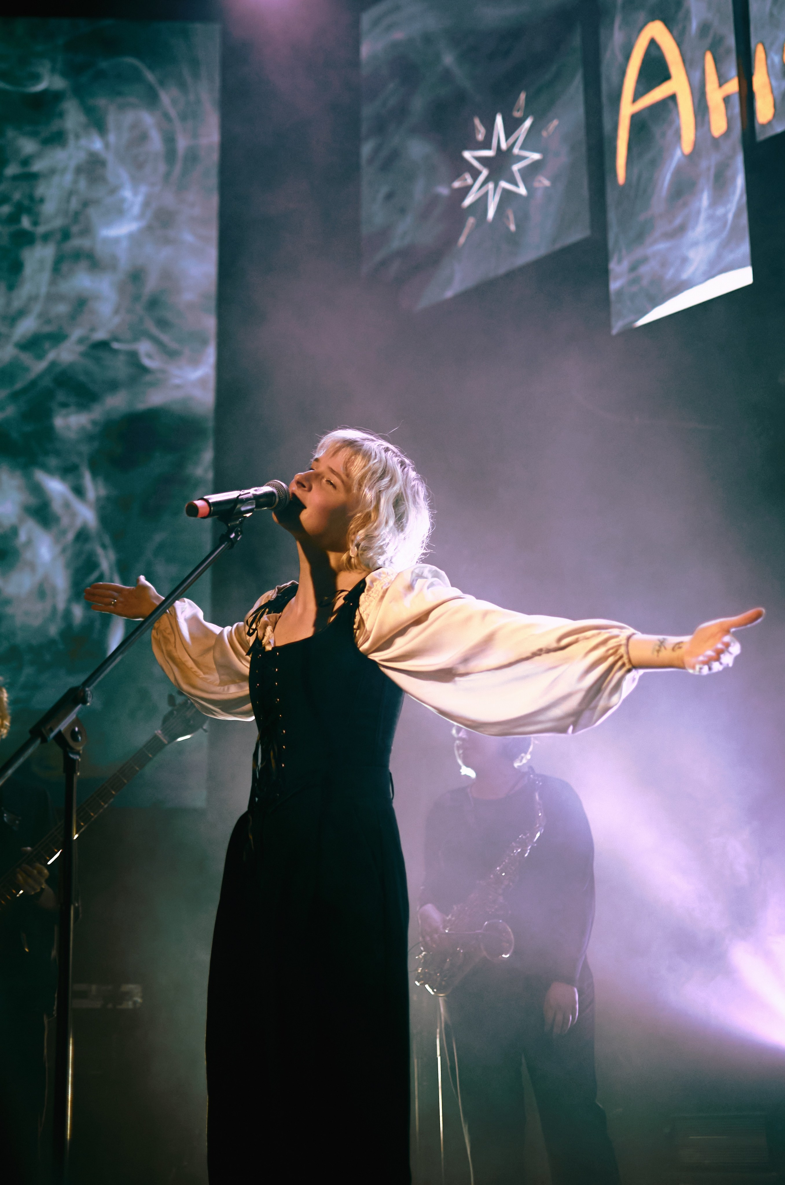 Концертные фото. Wirinsens