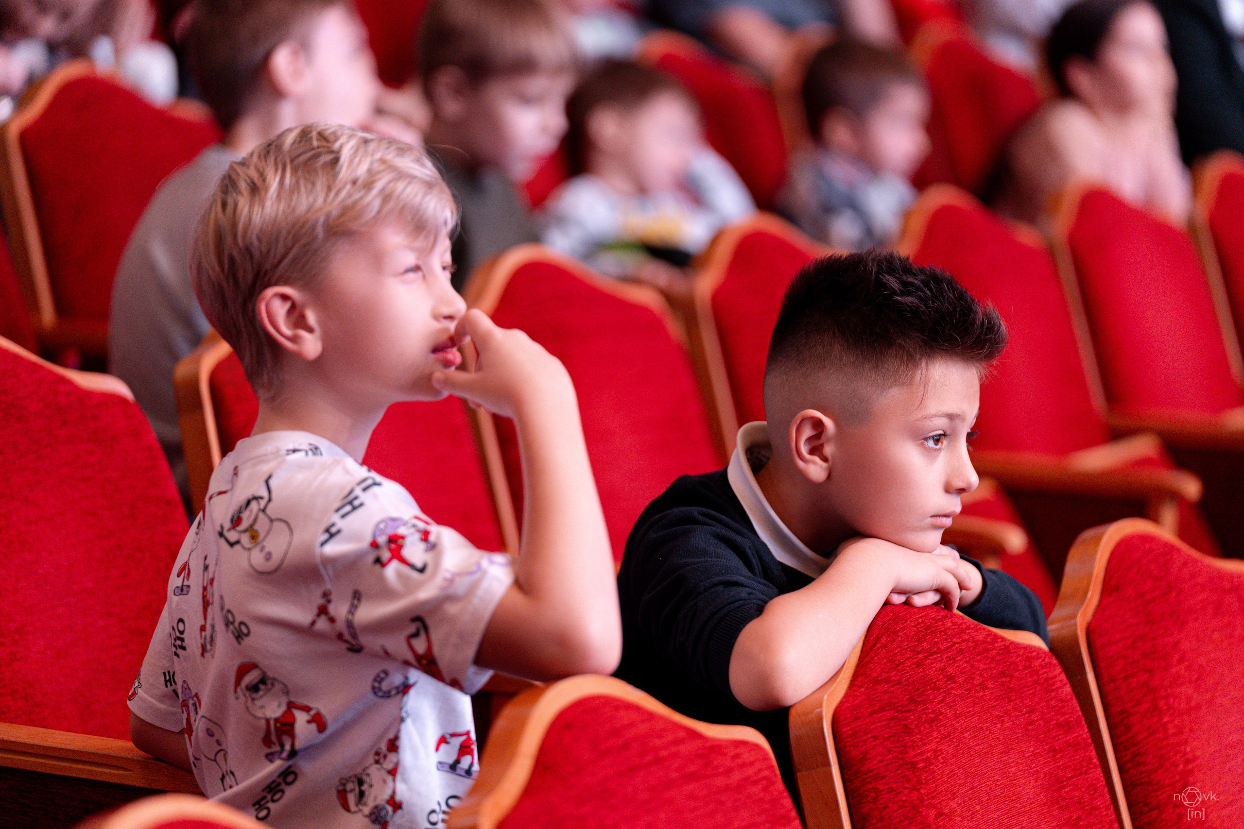 Ёлка. ФОТОГРАФ ИВАН НОВИКОВ | СТАВРОПОЛЬ